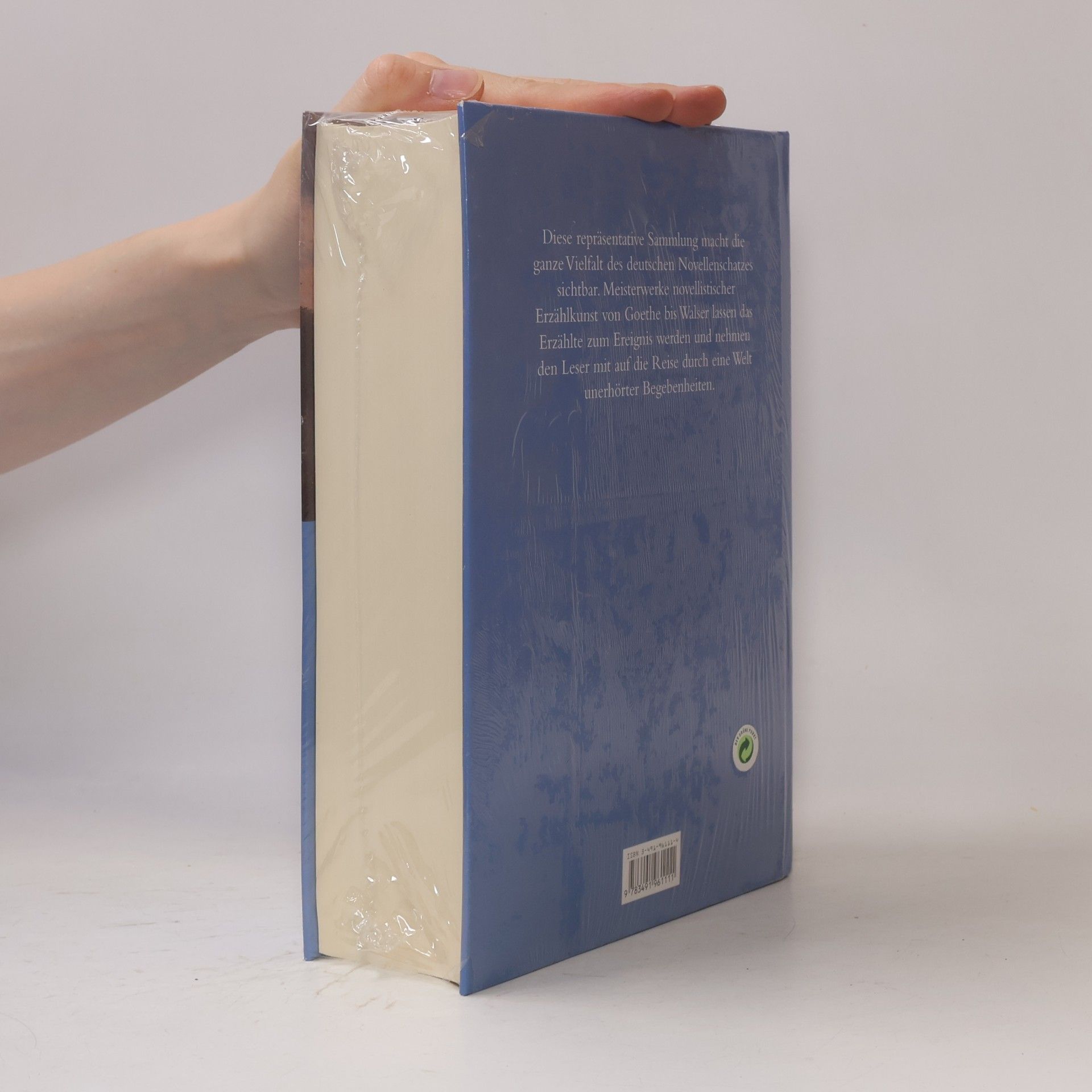 Das große deutsche Novellenbuch
