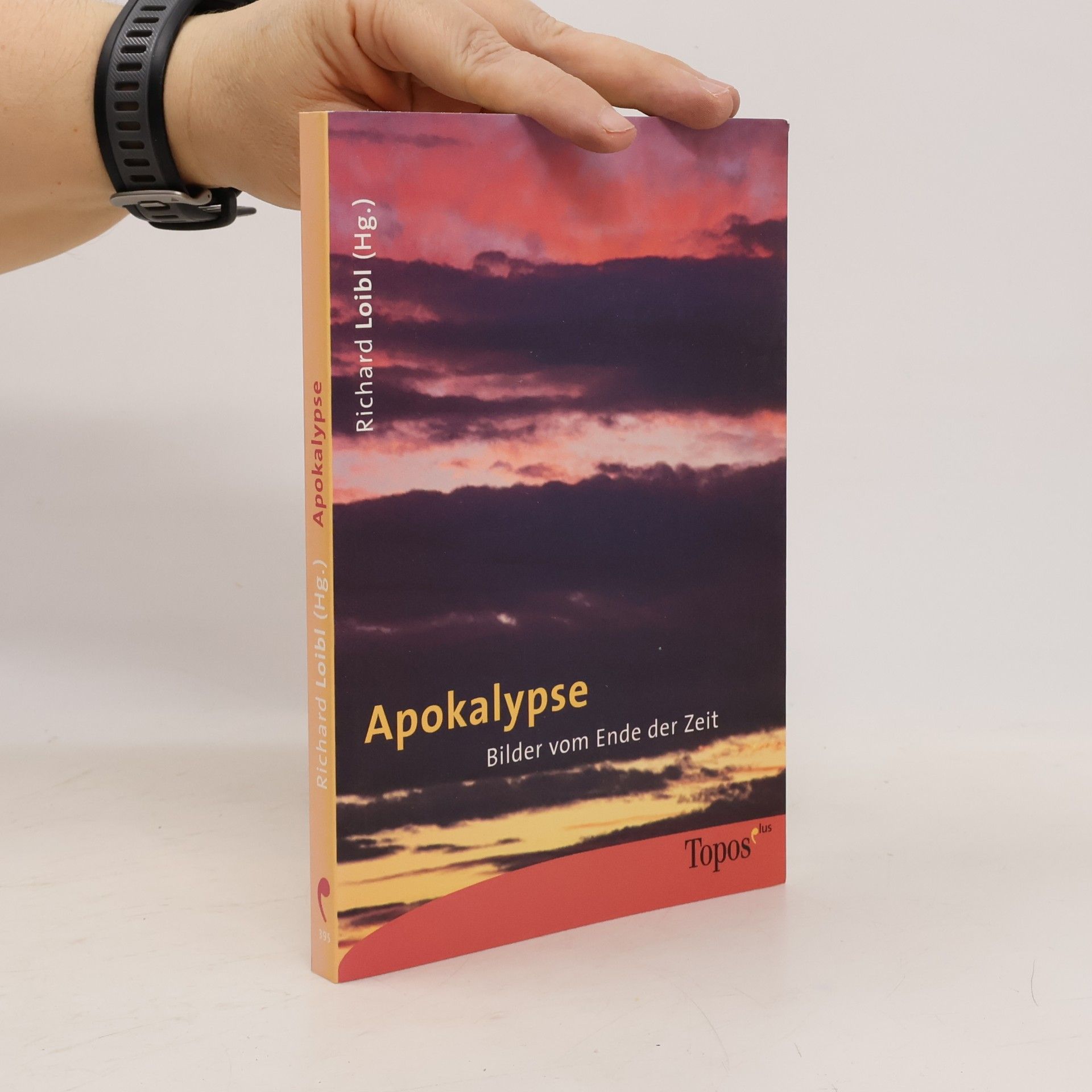 Topos plus - Taschenbücher: Apokalypse