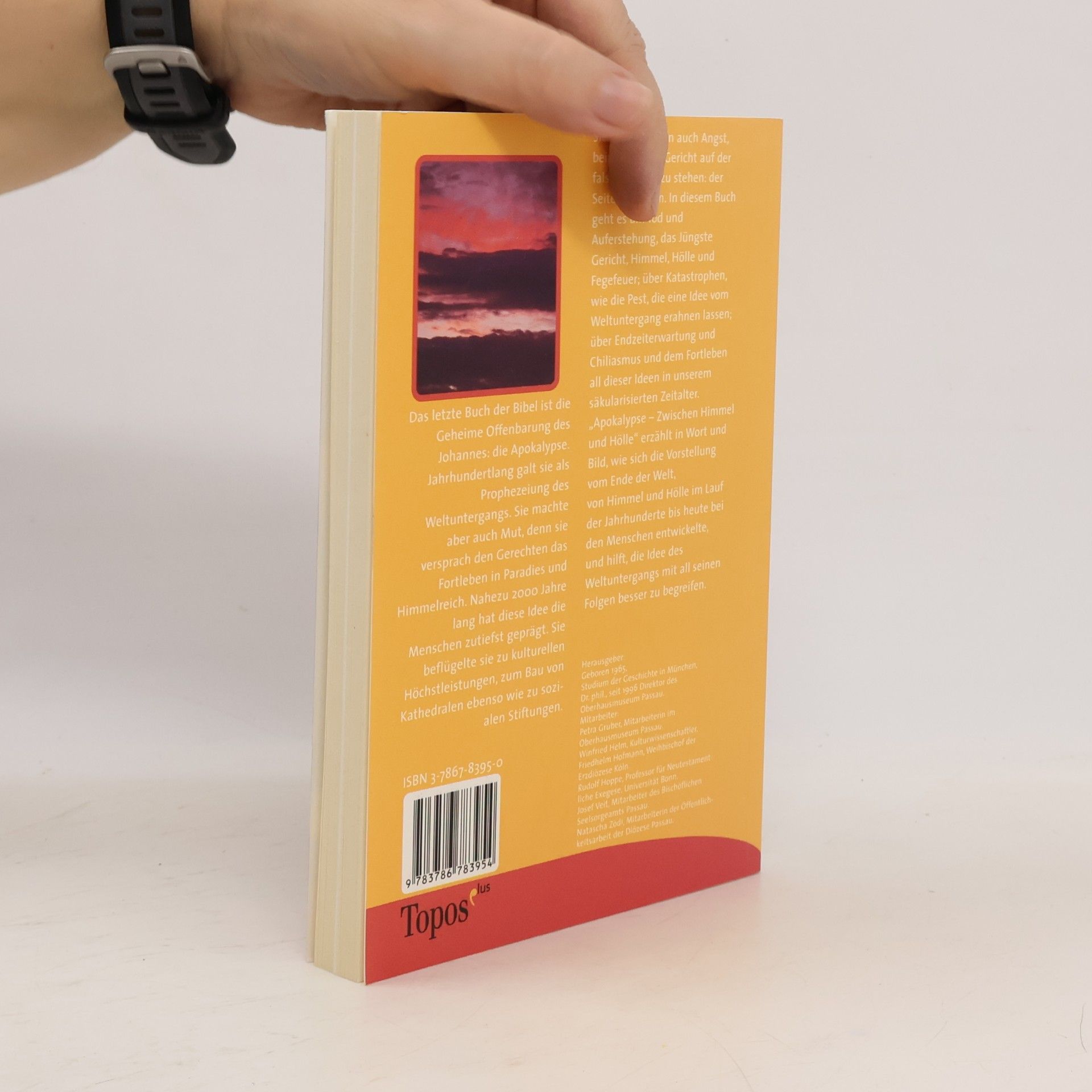 Richard Loibl Topos plus - Taschenbücher: Apokalypse