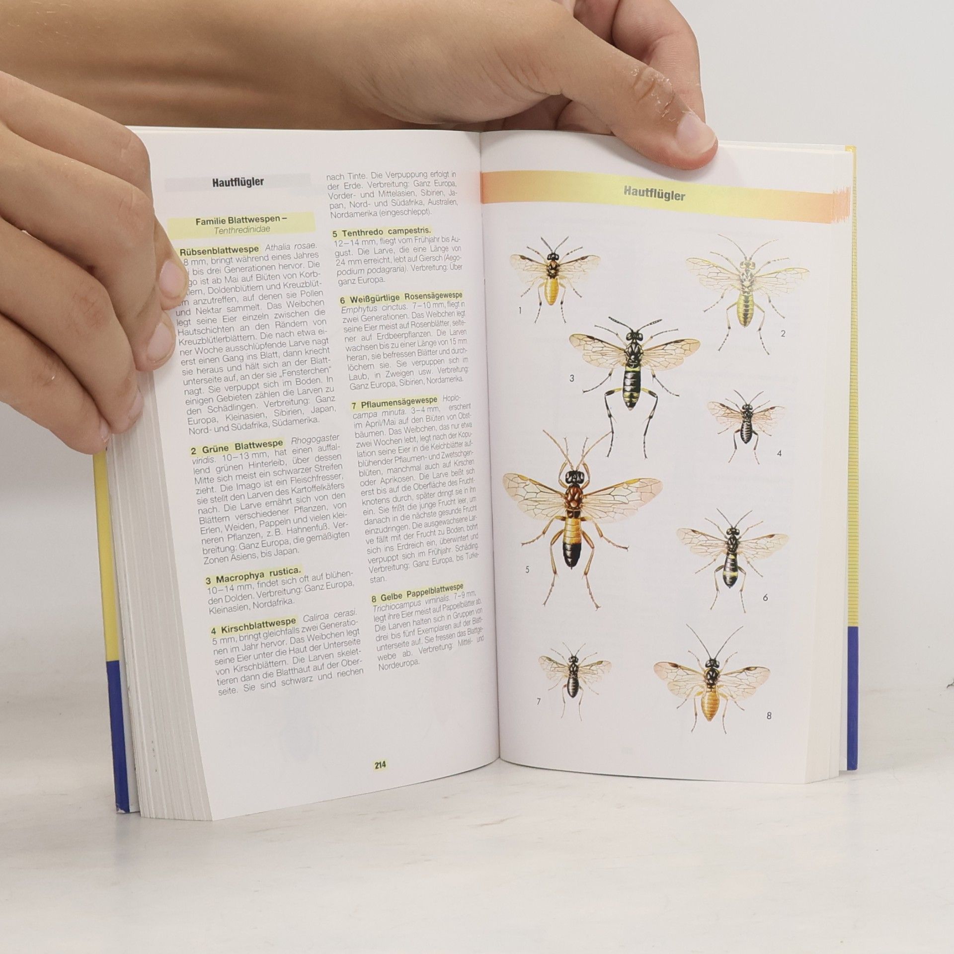 Jiří Zahradník Der Kosmos-Insektenführer