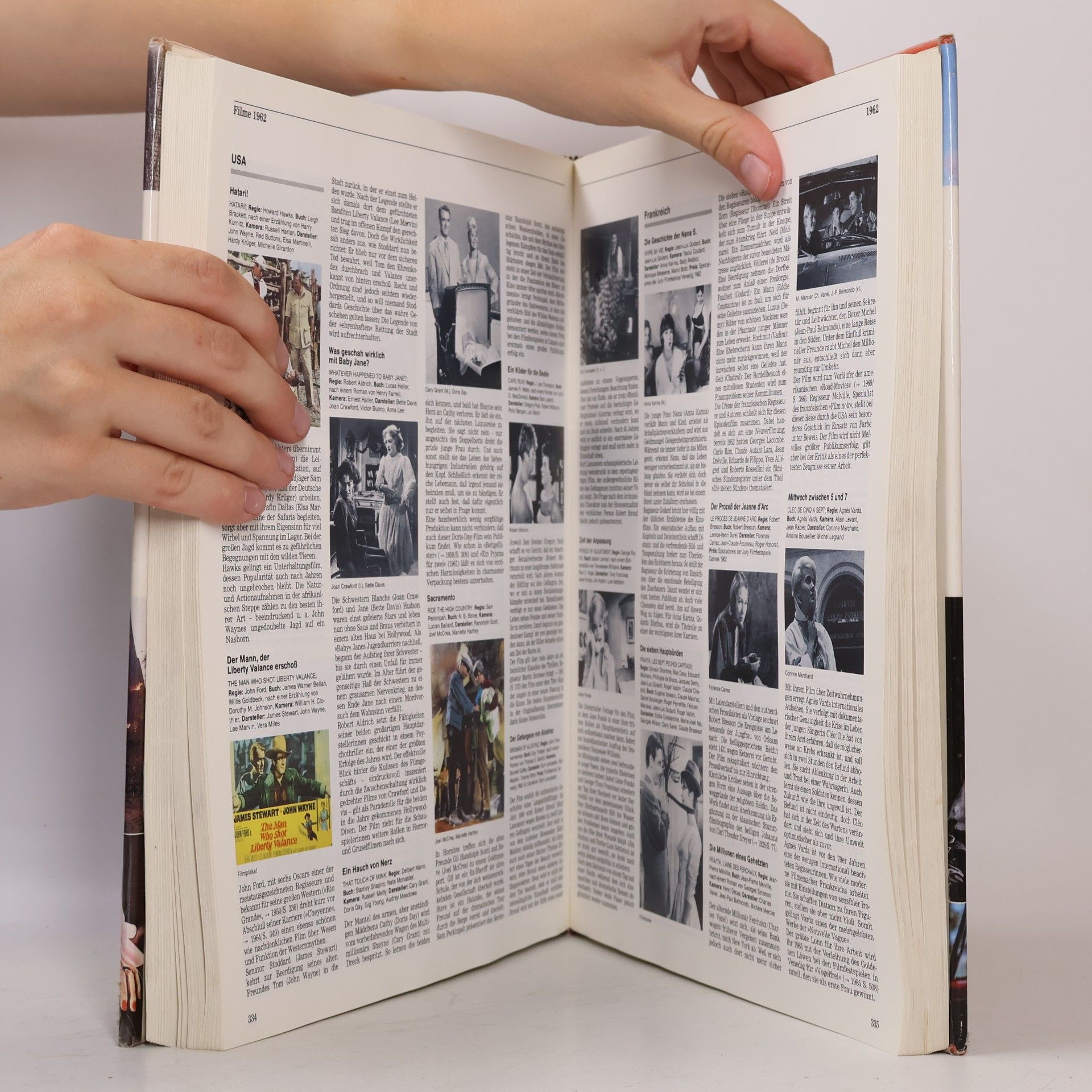 Brigitte Beier Die Chronik des Films