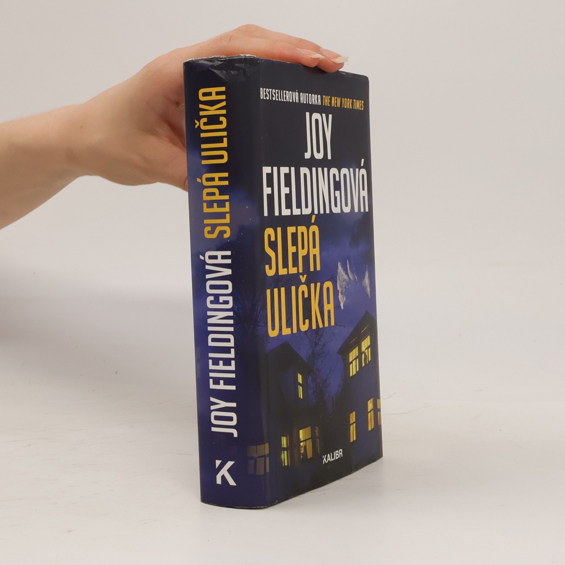 Joy Fielding Slepá ulička