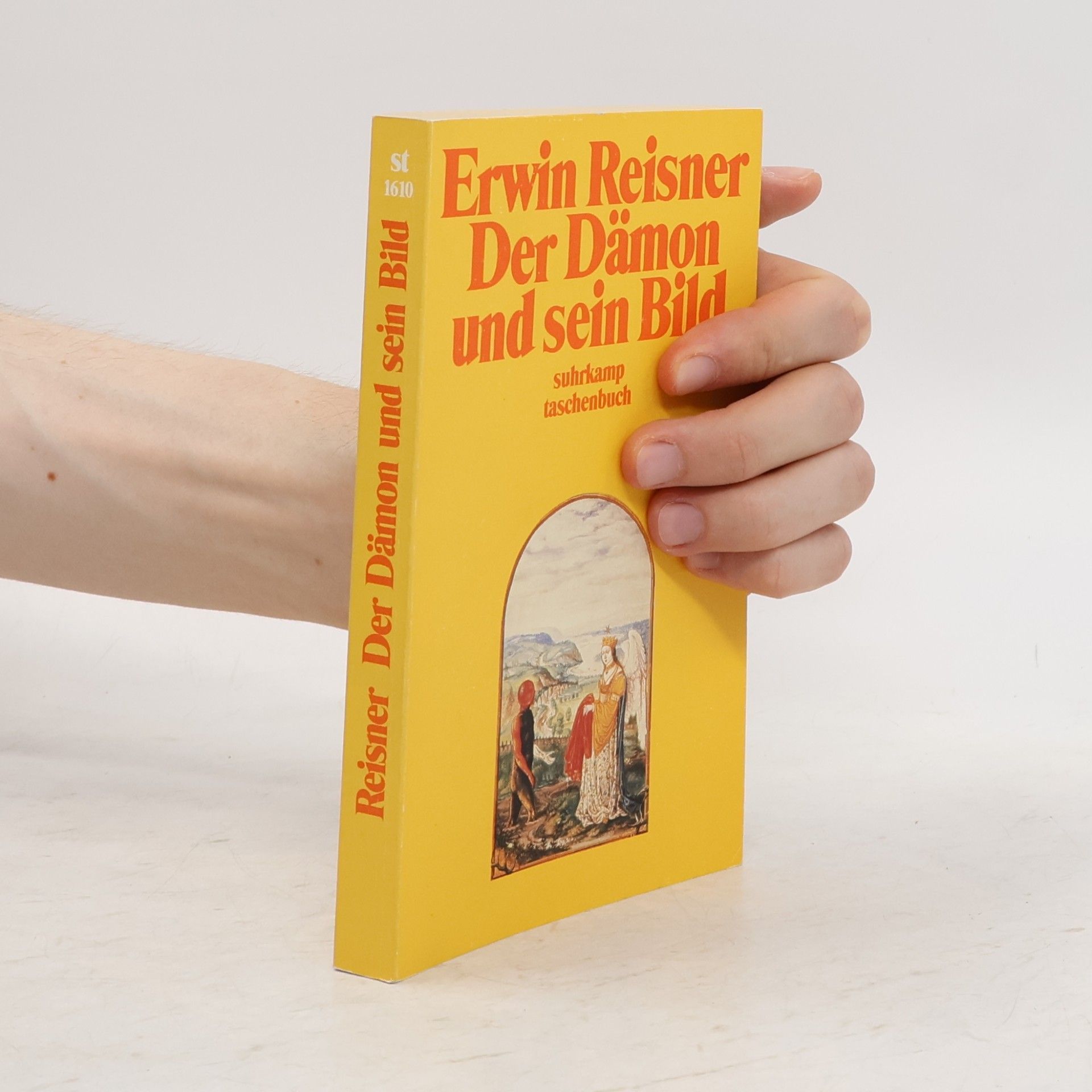 Erwin Reisner Suhrkamp Taschenbuch - 1610: Der Dämon und sein Bild