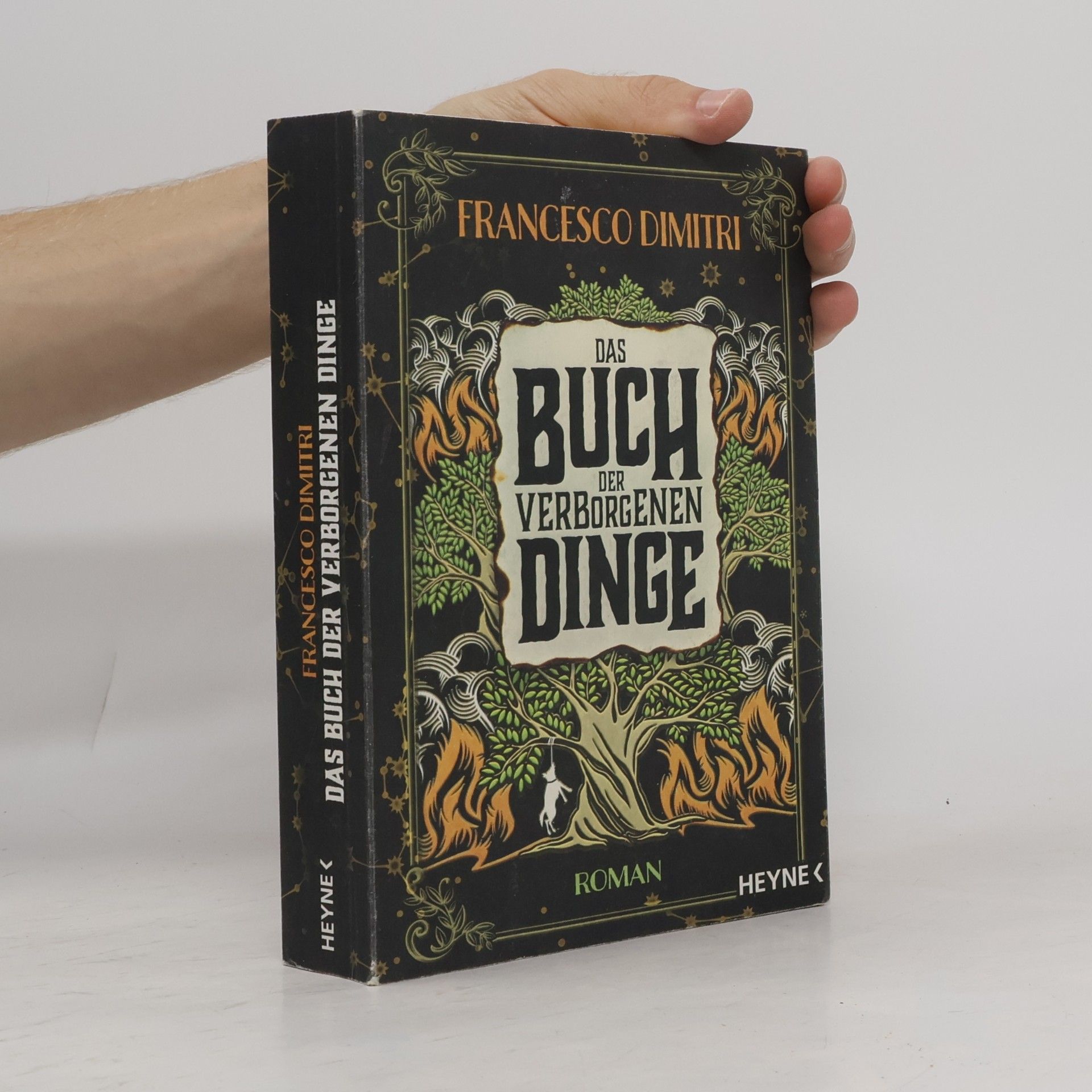 Francesco Dimitri Das Buch der verborgenen Dinge