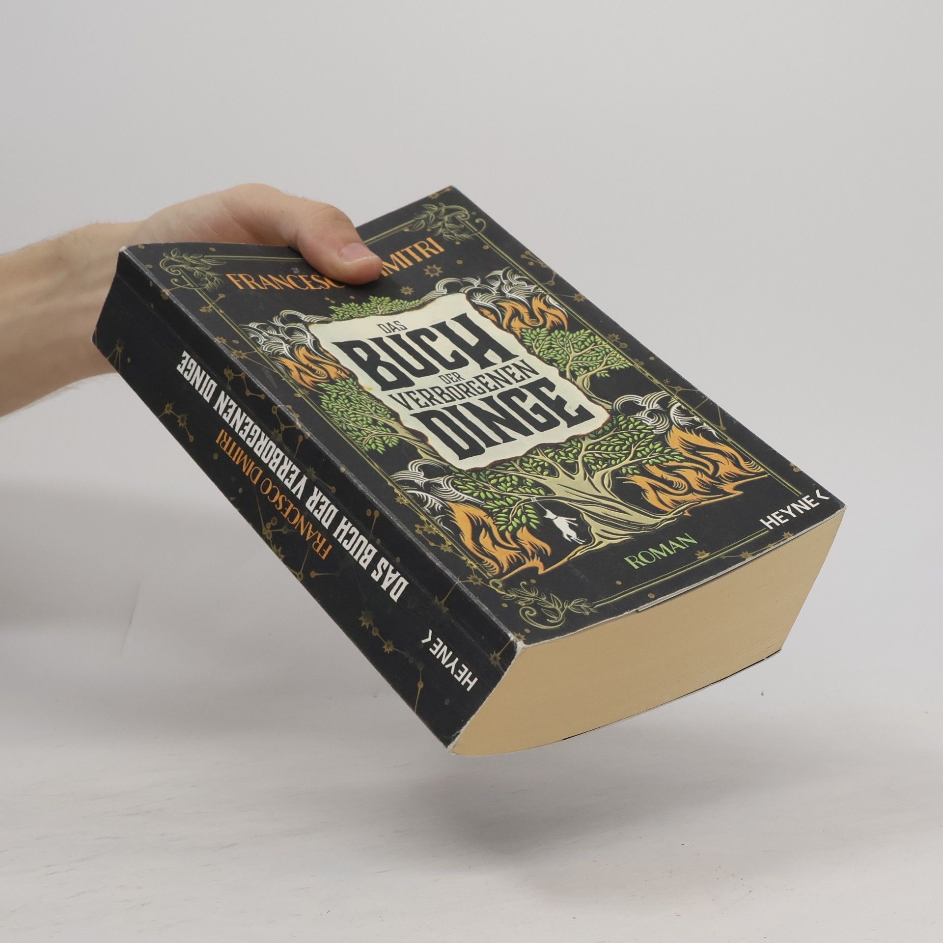 Francesco Dimitri Das Buch der verborgenen Dinge