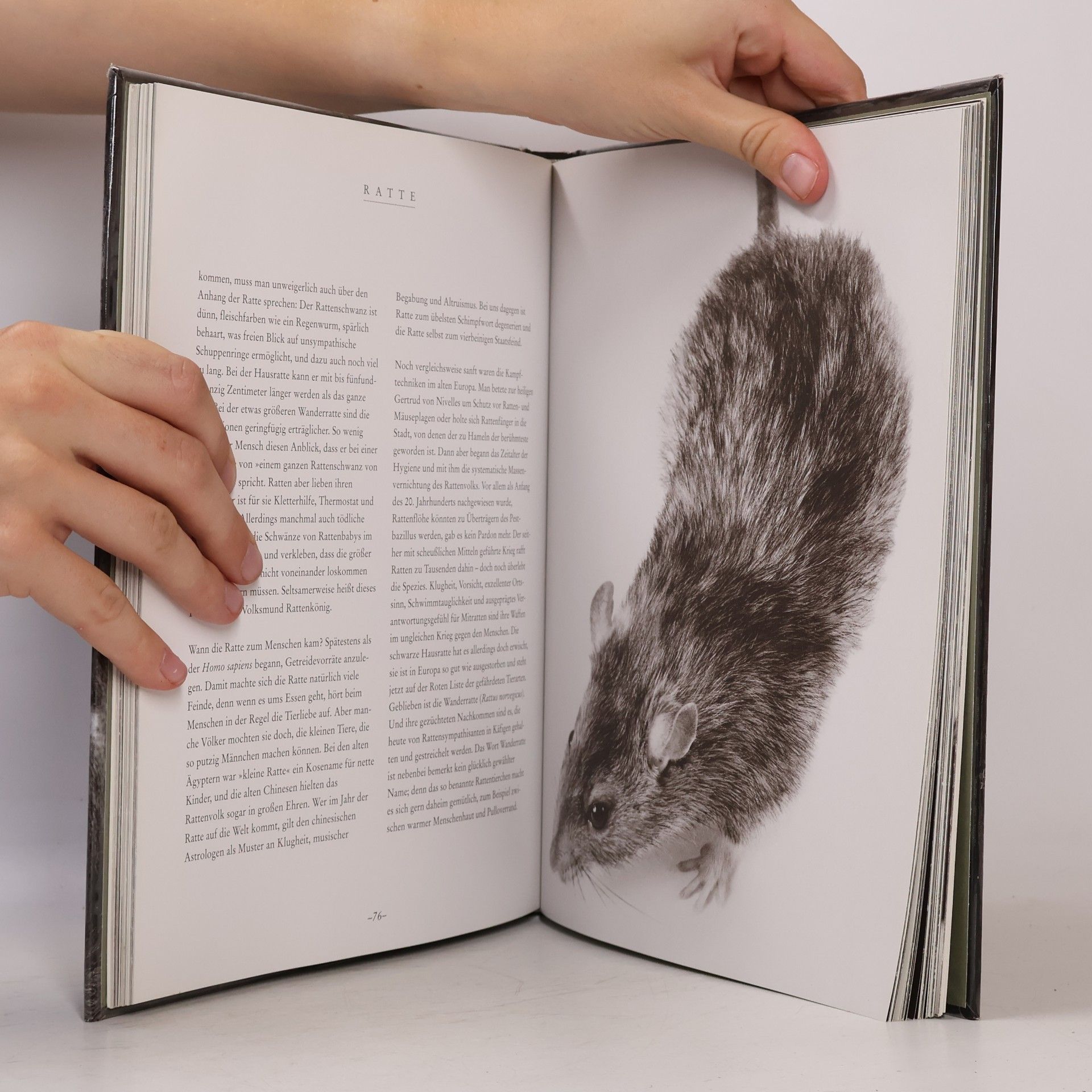 Walter Schels Die Seele der Tiere