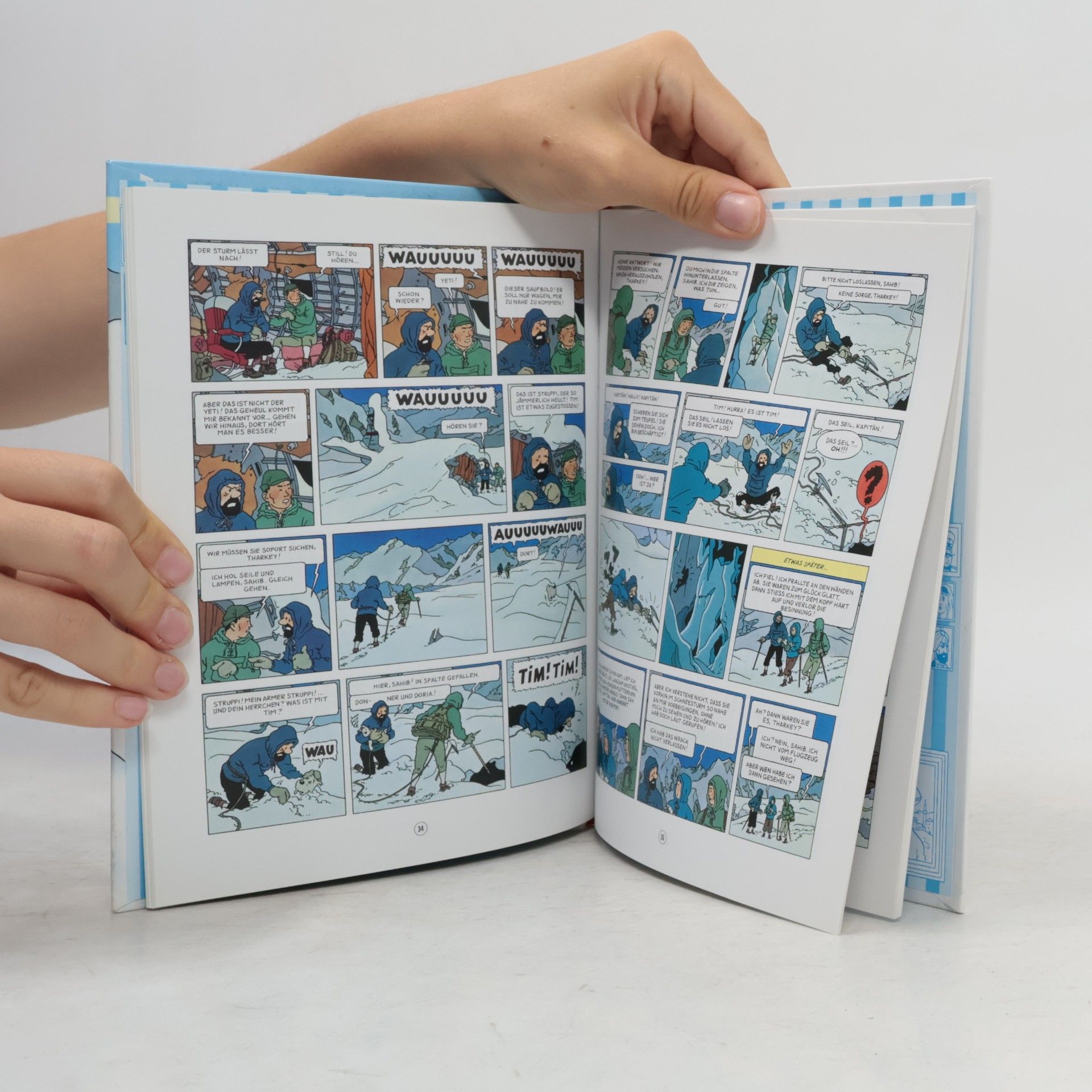 Hergé Tim und Struppi