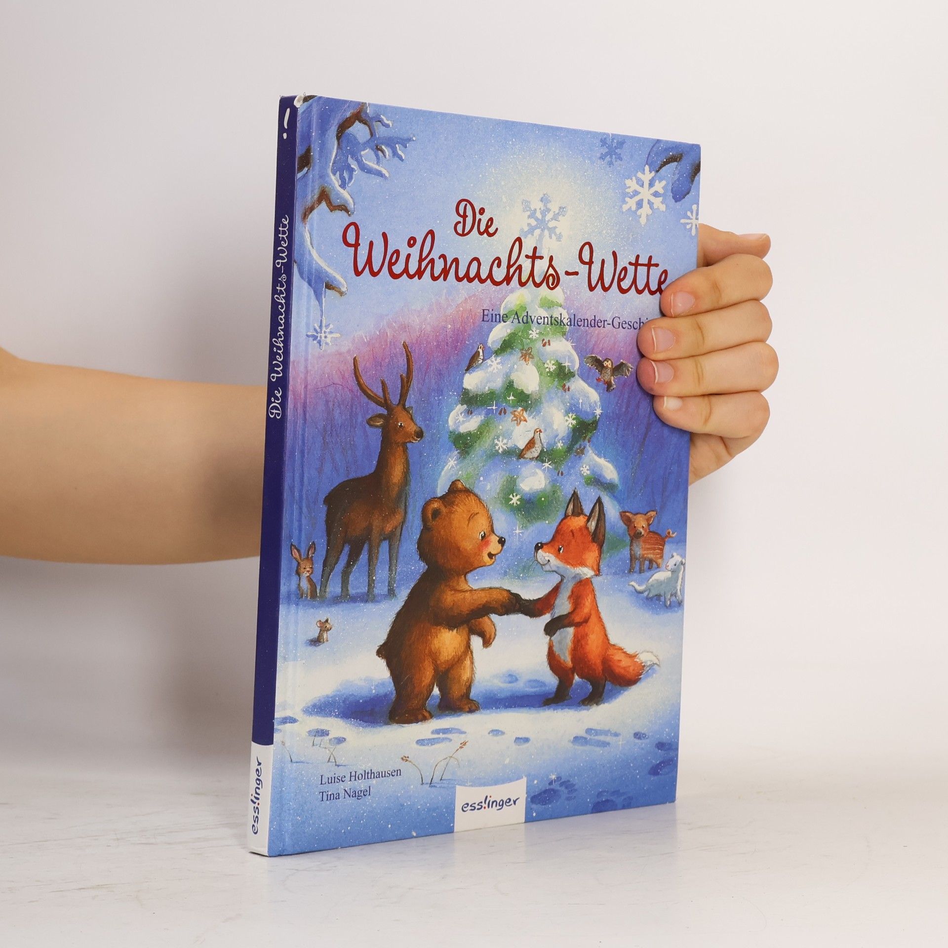 Luise Holthausen Die Weihnachts-Wette. Eine Adventskalender-Geschichte