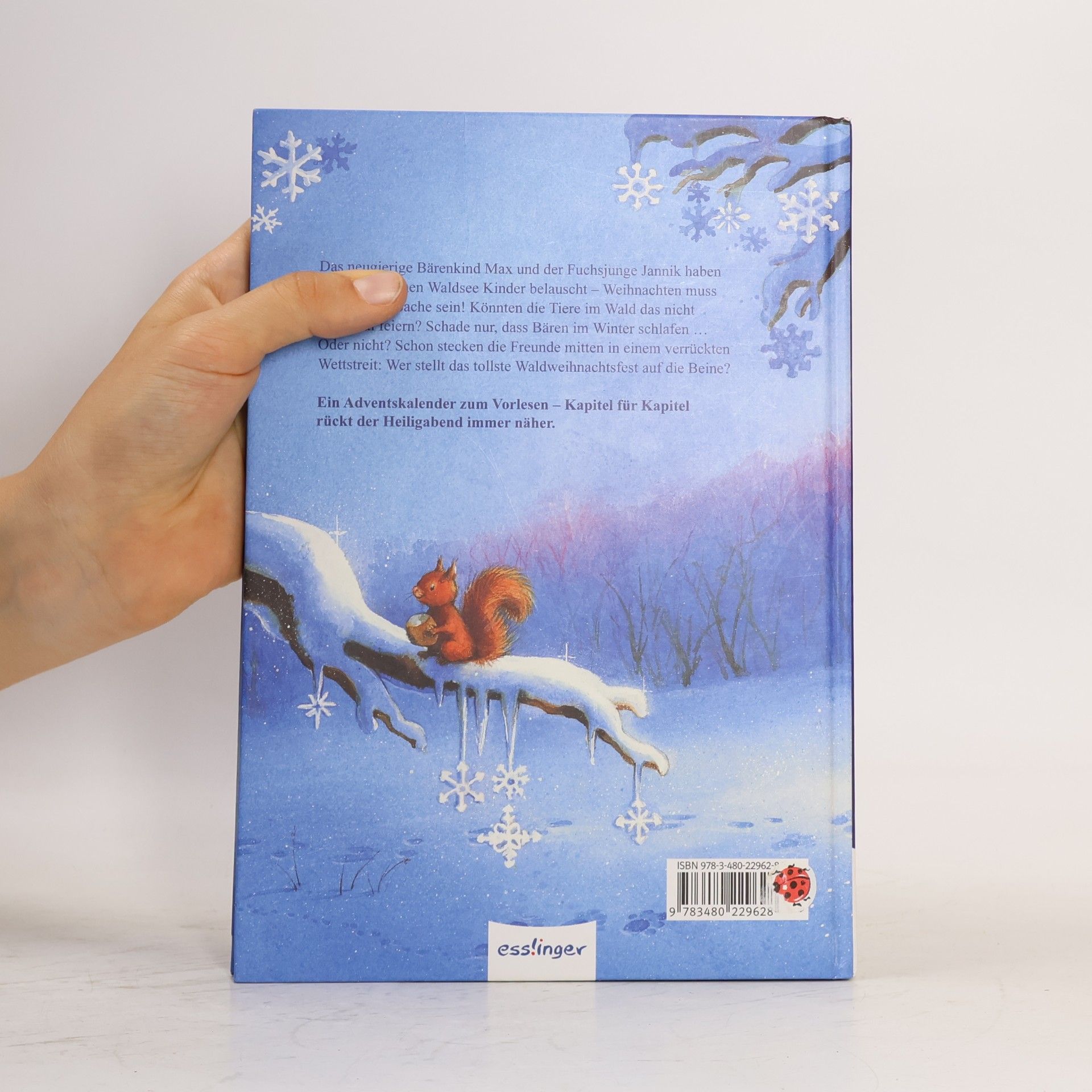 Luise Holthausen Die Weihnachts-Wette. Eine Adventskalender-Geschichte