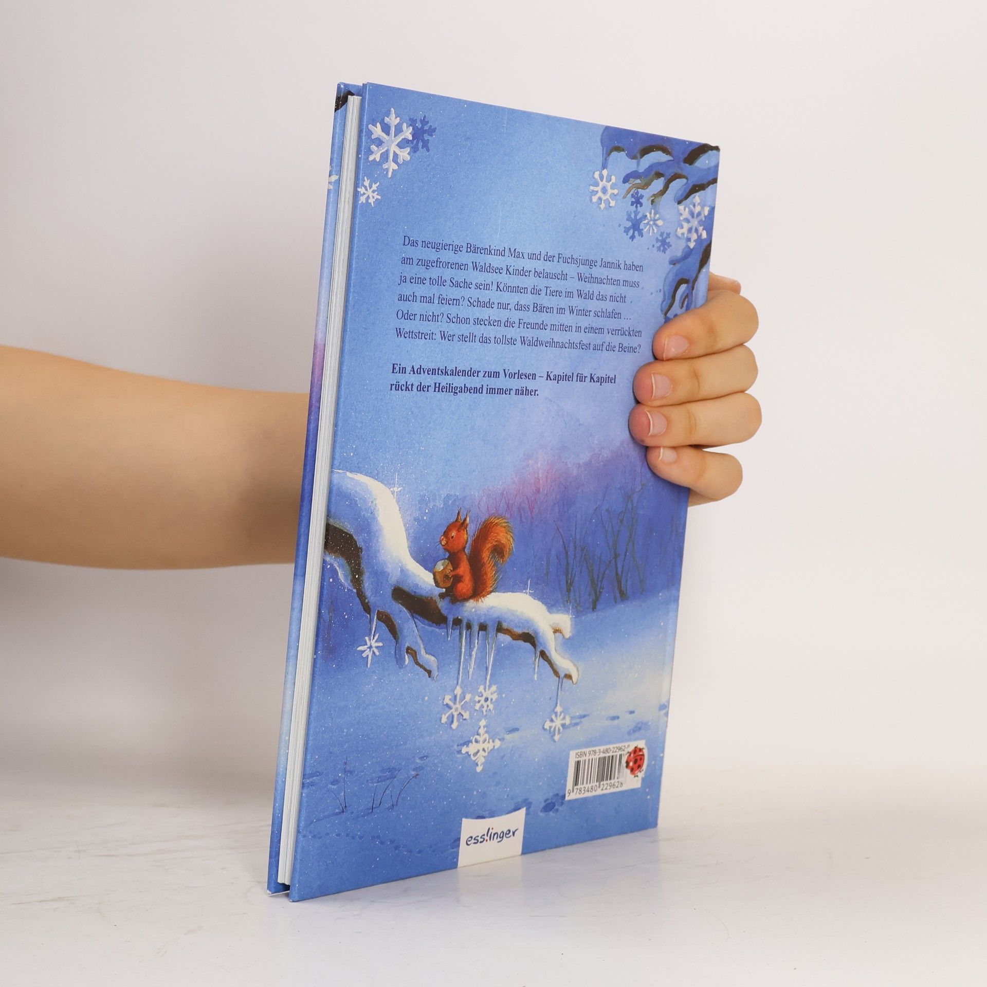 Luise Holthausen Die Weihnachts-Wette. Eine Adventskalender-Geschichte