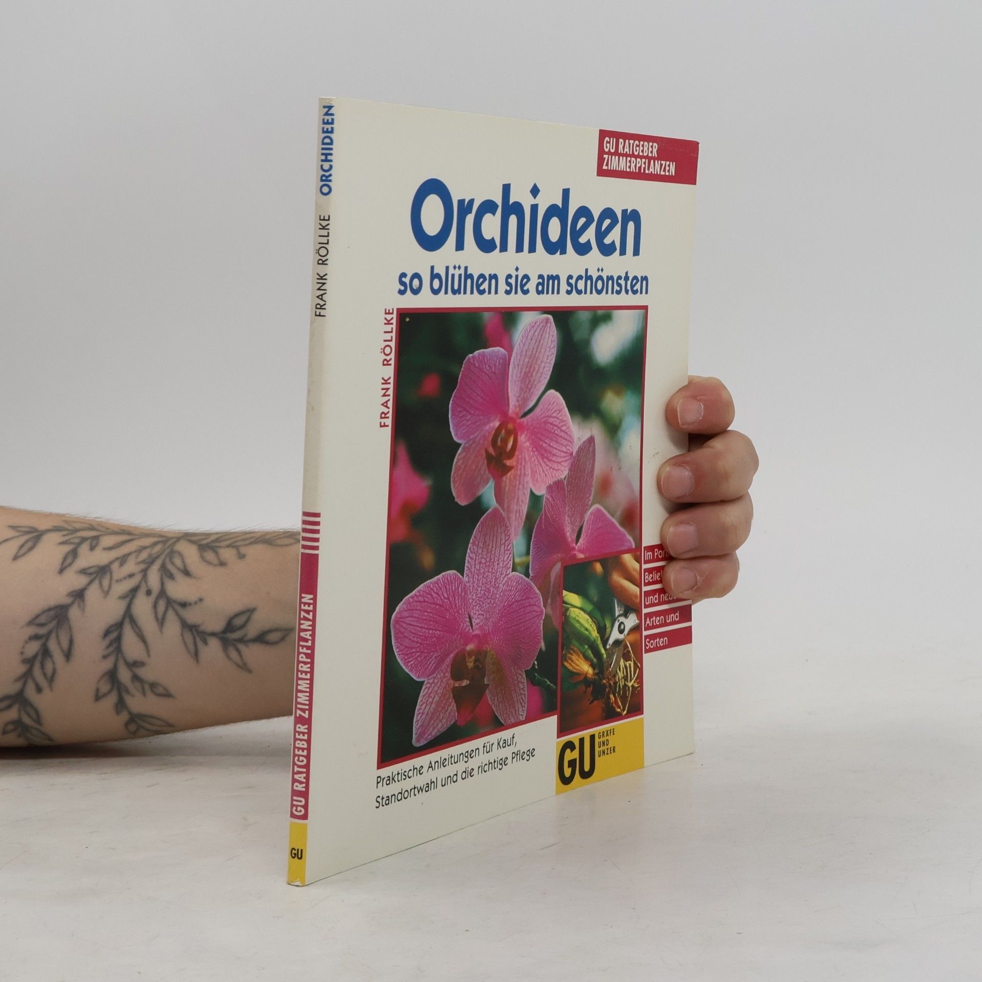 Frank Rolke Orchideen