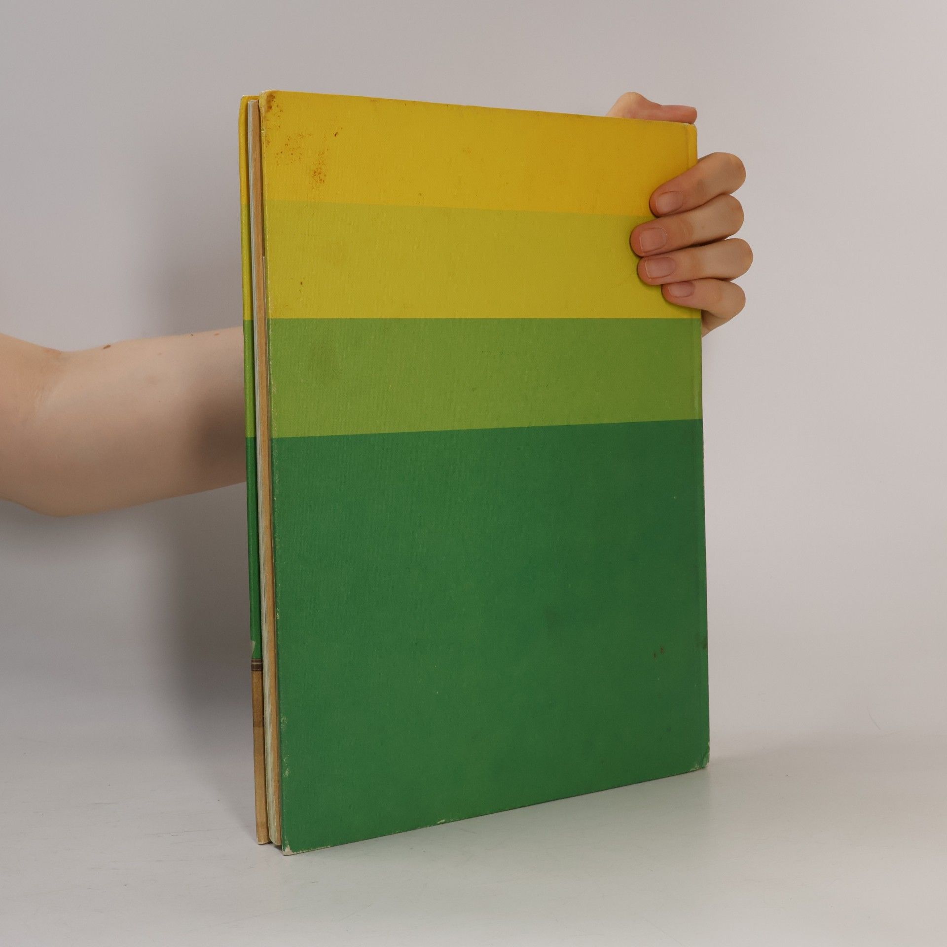 Margret Woltin Grosses Bastelbuch