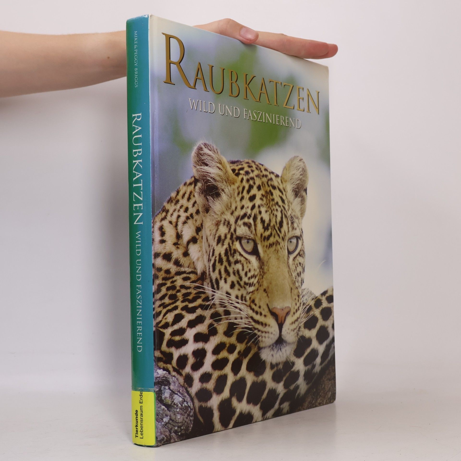 Mike Briggs Raubkatzen wild und faszinierend
