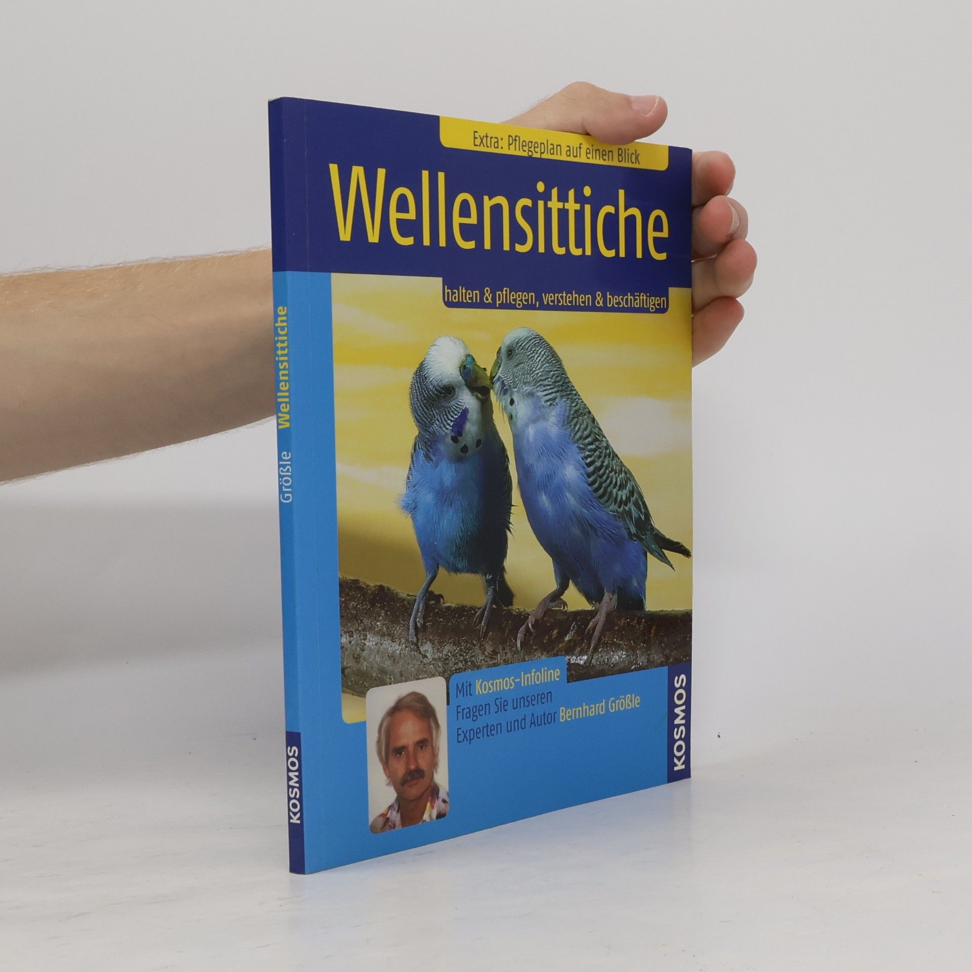 Bernhard Größle Wellensittiche