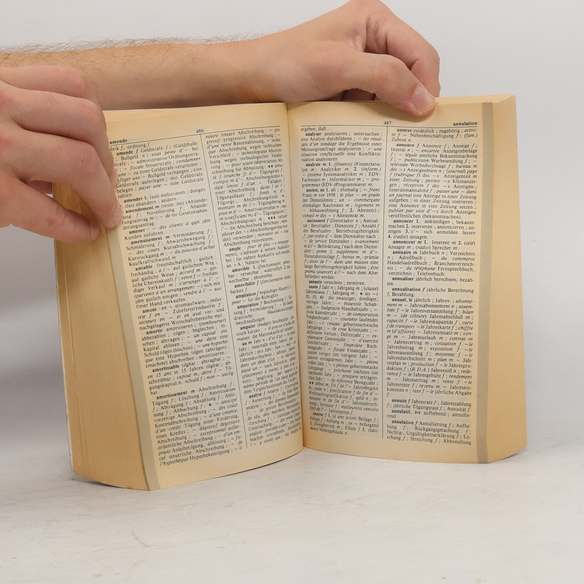 Jürgen Boelcke Dictionnaire de l'allemand économique et commercial et financier
