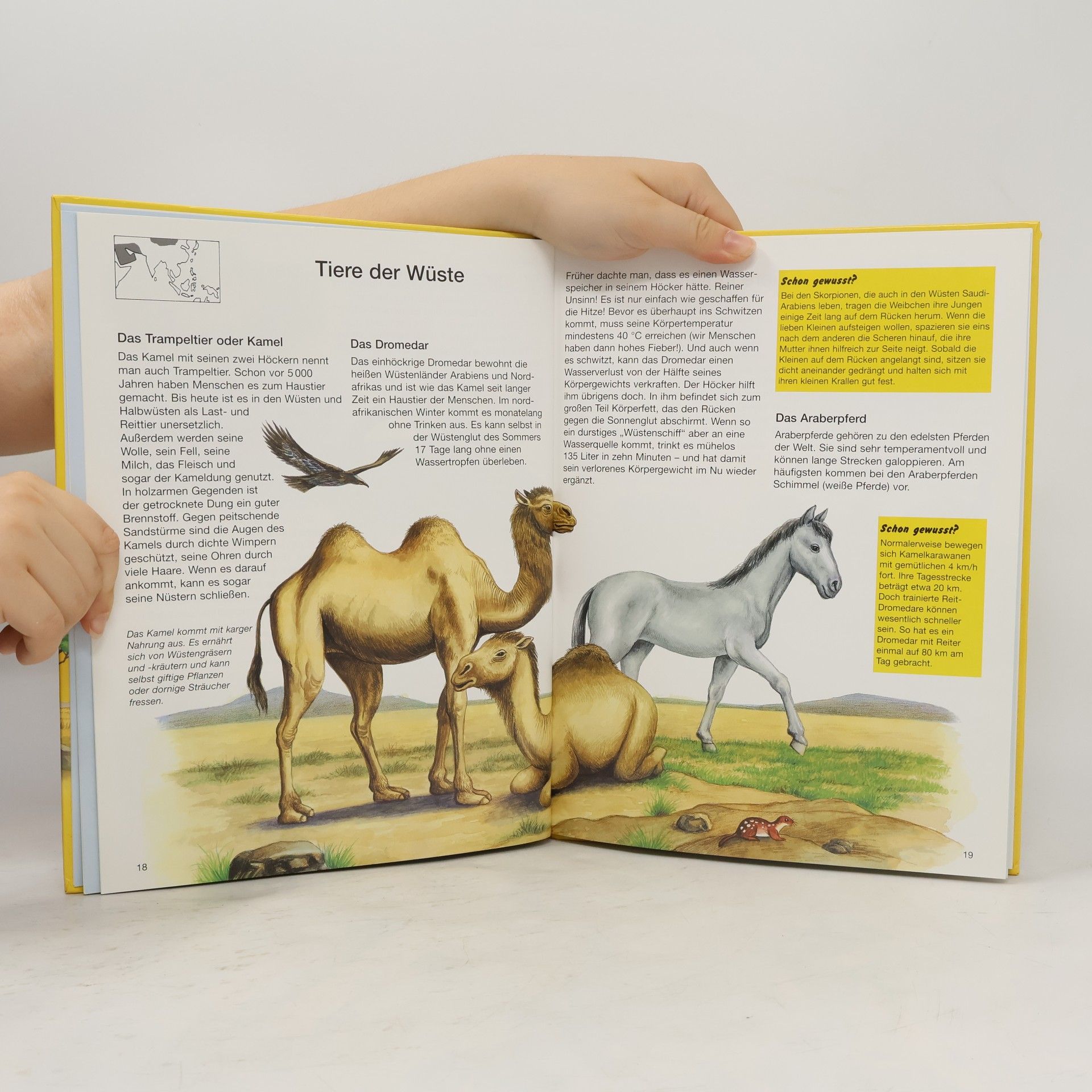 Hans G. Schellenberger Der große Xenos-Tieratlas für Kinder