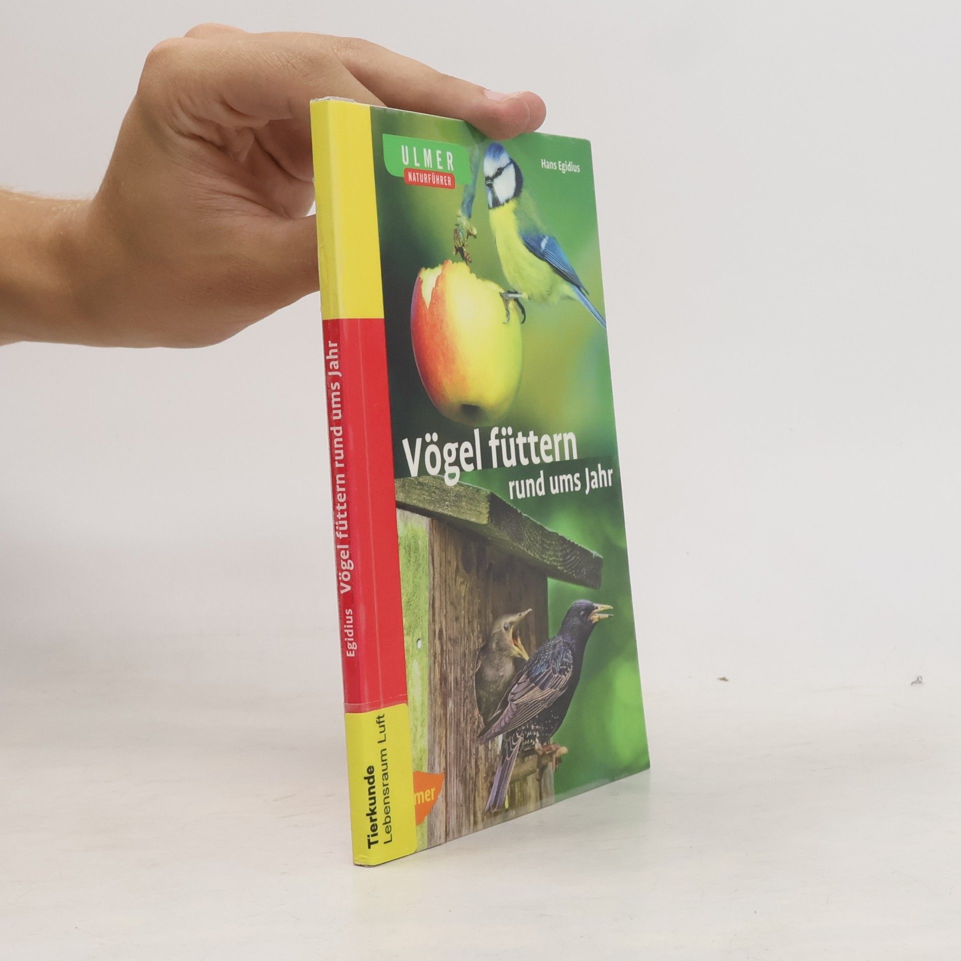 Vögel füttern rund ums Jahr