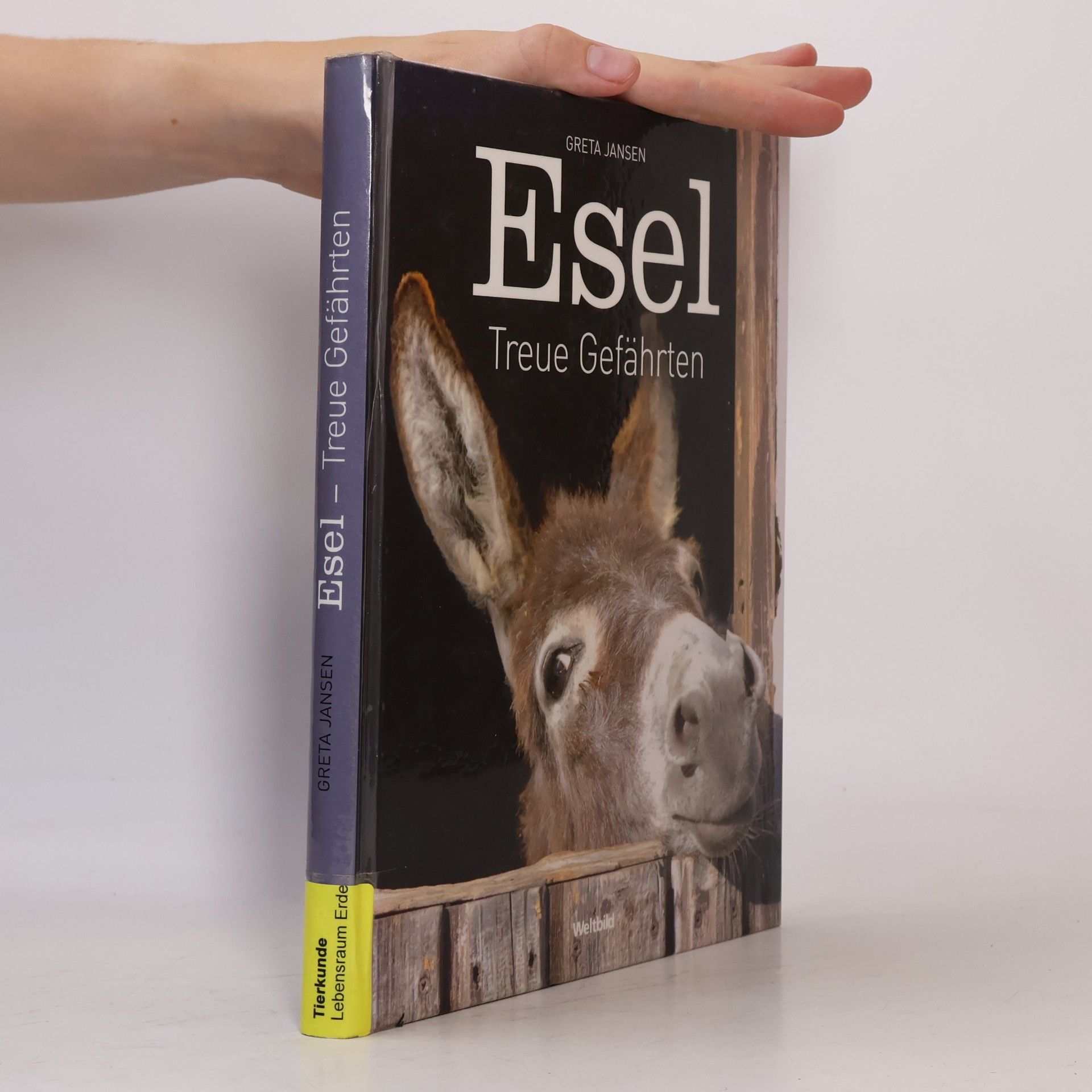 Greta Jansen Esel