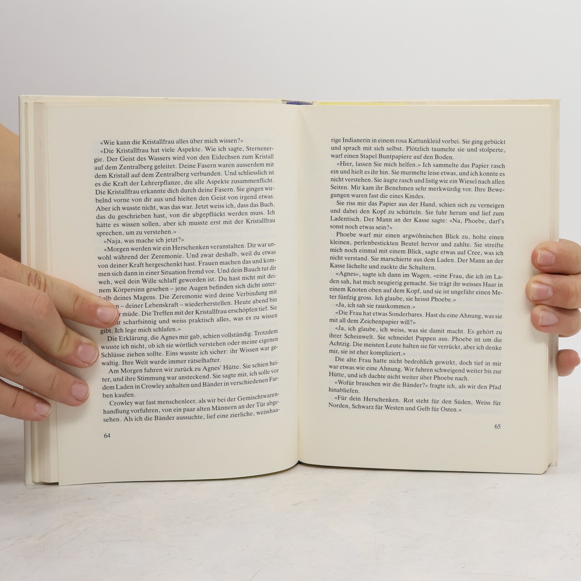 Lynn V. Andrews Der Flug des siebten Mondes