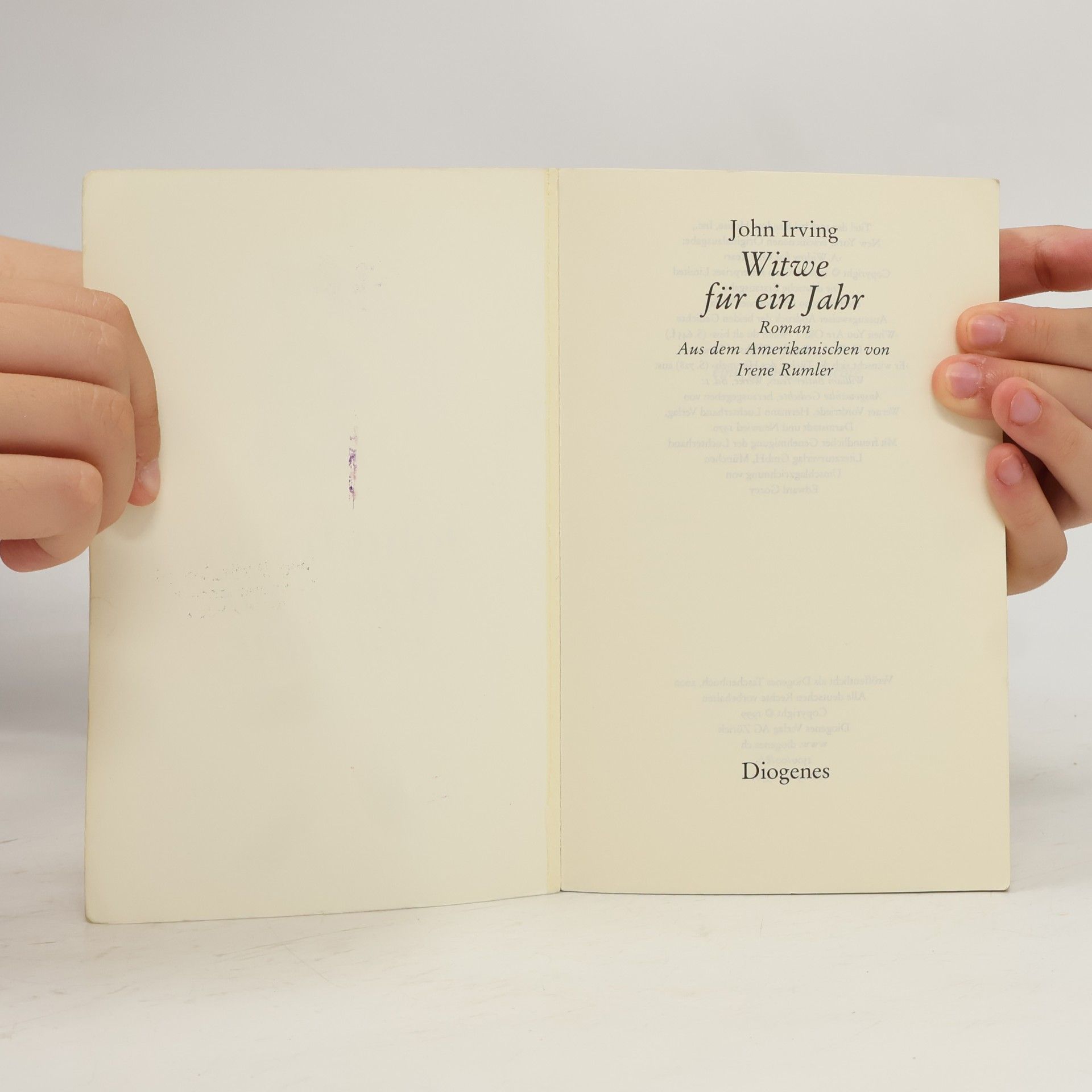 John Irving Witwe für ein Jahr
