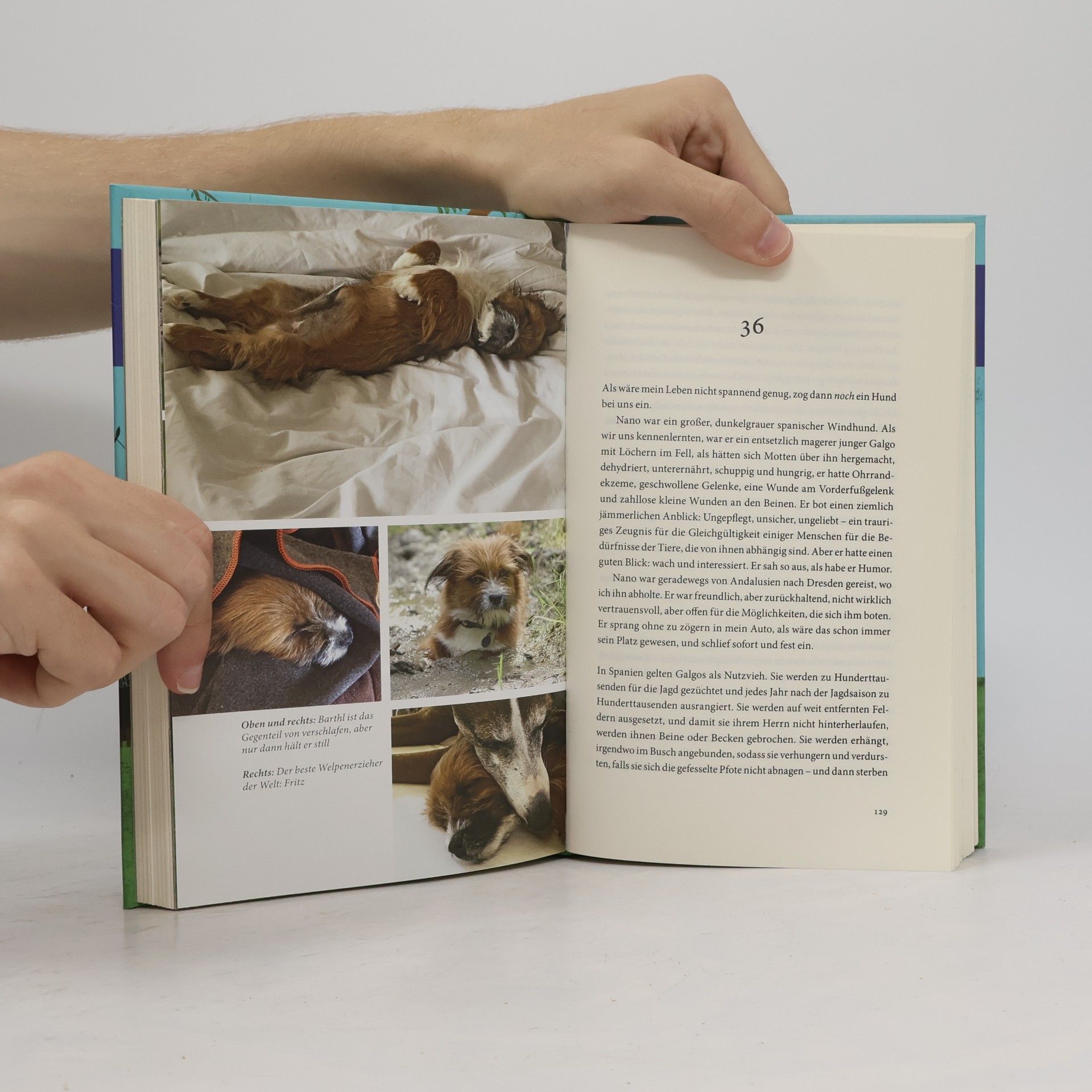 Katharina Leyen Halten Sie Ihr Huhn fest!