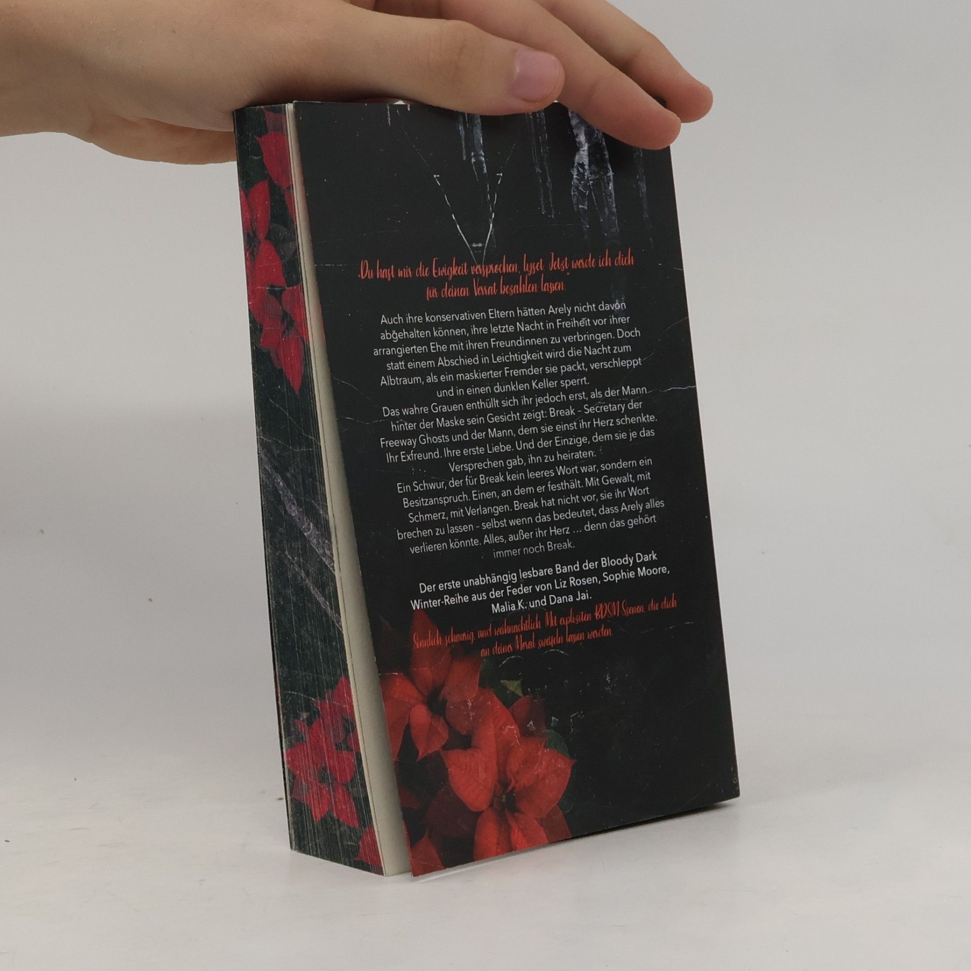 Liz Rosen Bloody Dark Winter
