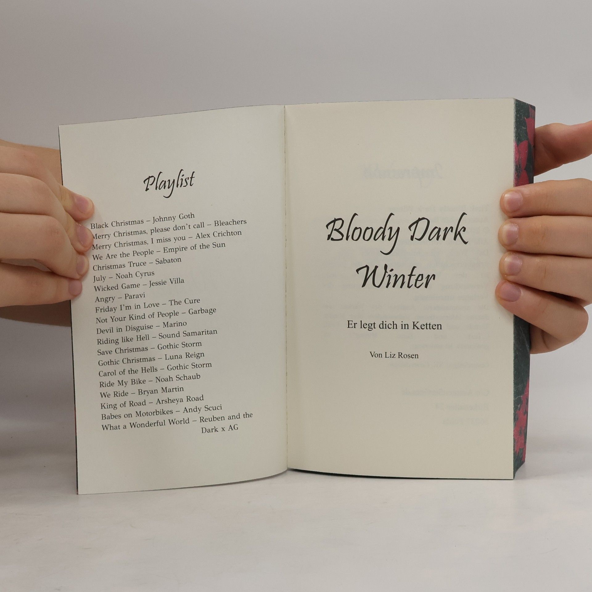 Liz Rosen Bloody Dark Winter