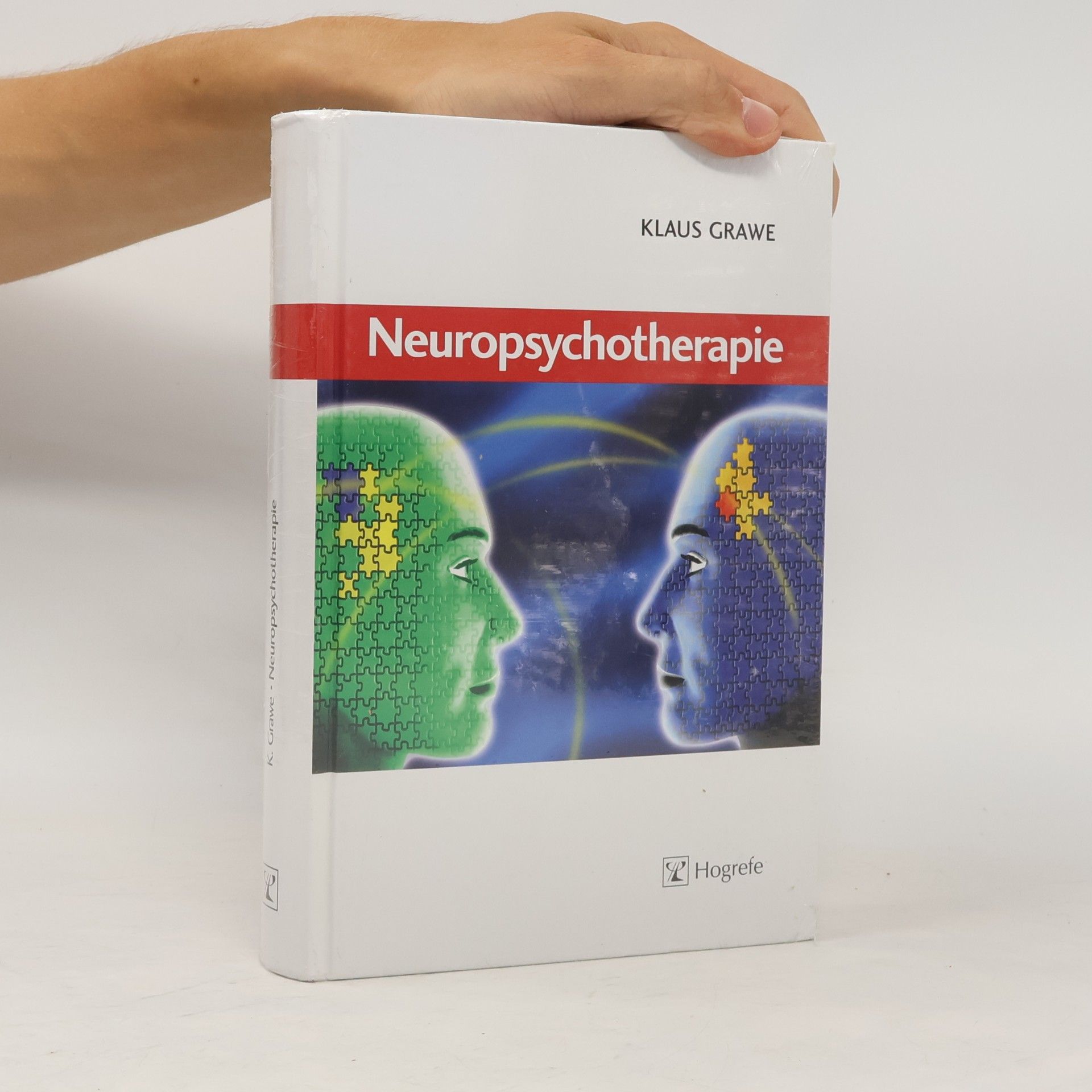 Klaus Grawe Neuropsychotherapie