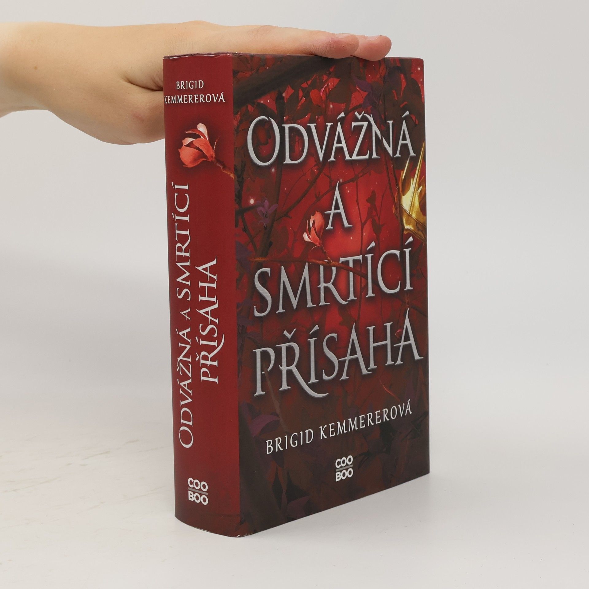 Brigid Kemmerer Odvážná a smrtící přísaha