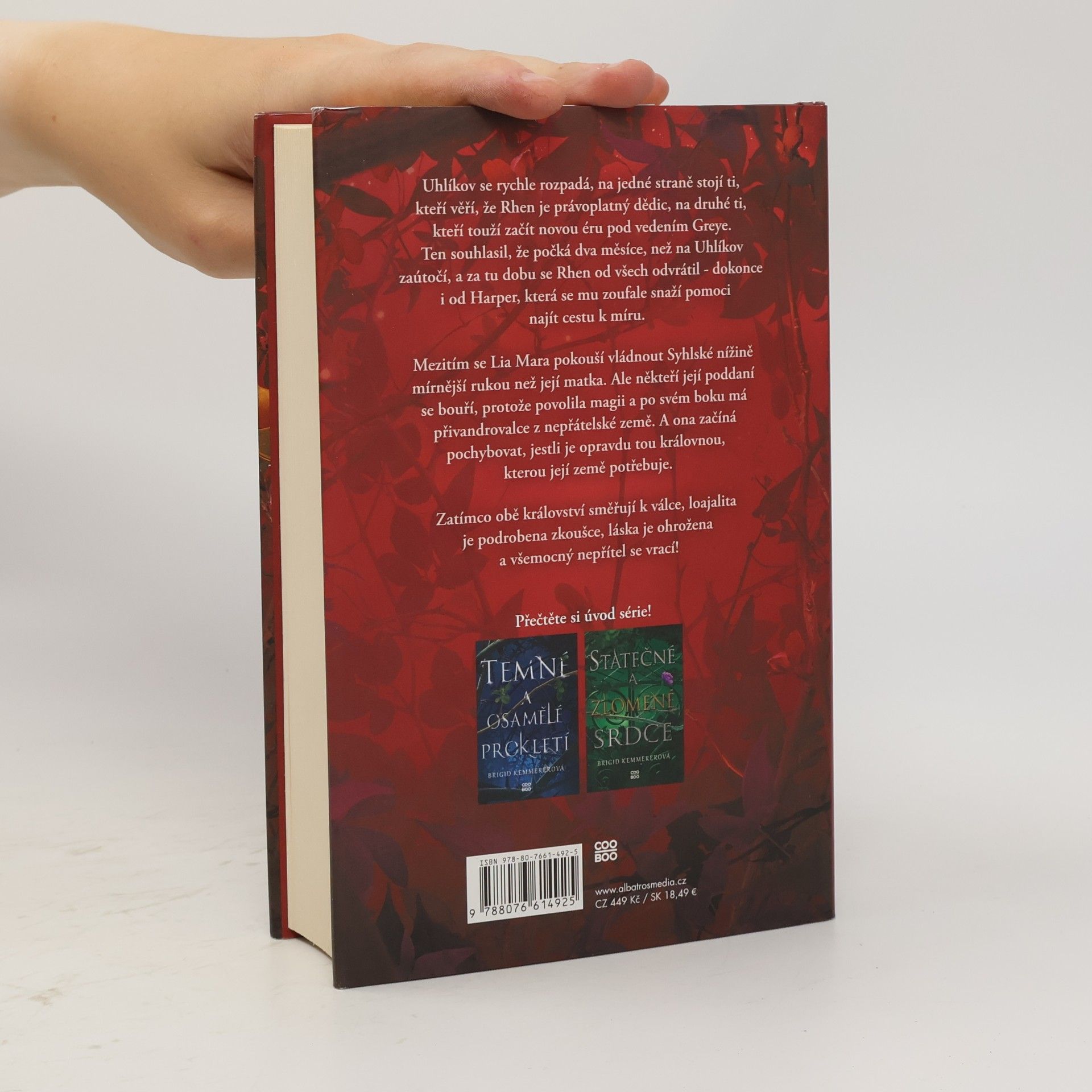 Brigid Kemmerer Odvážná a smrtící přísaha