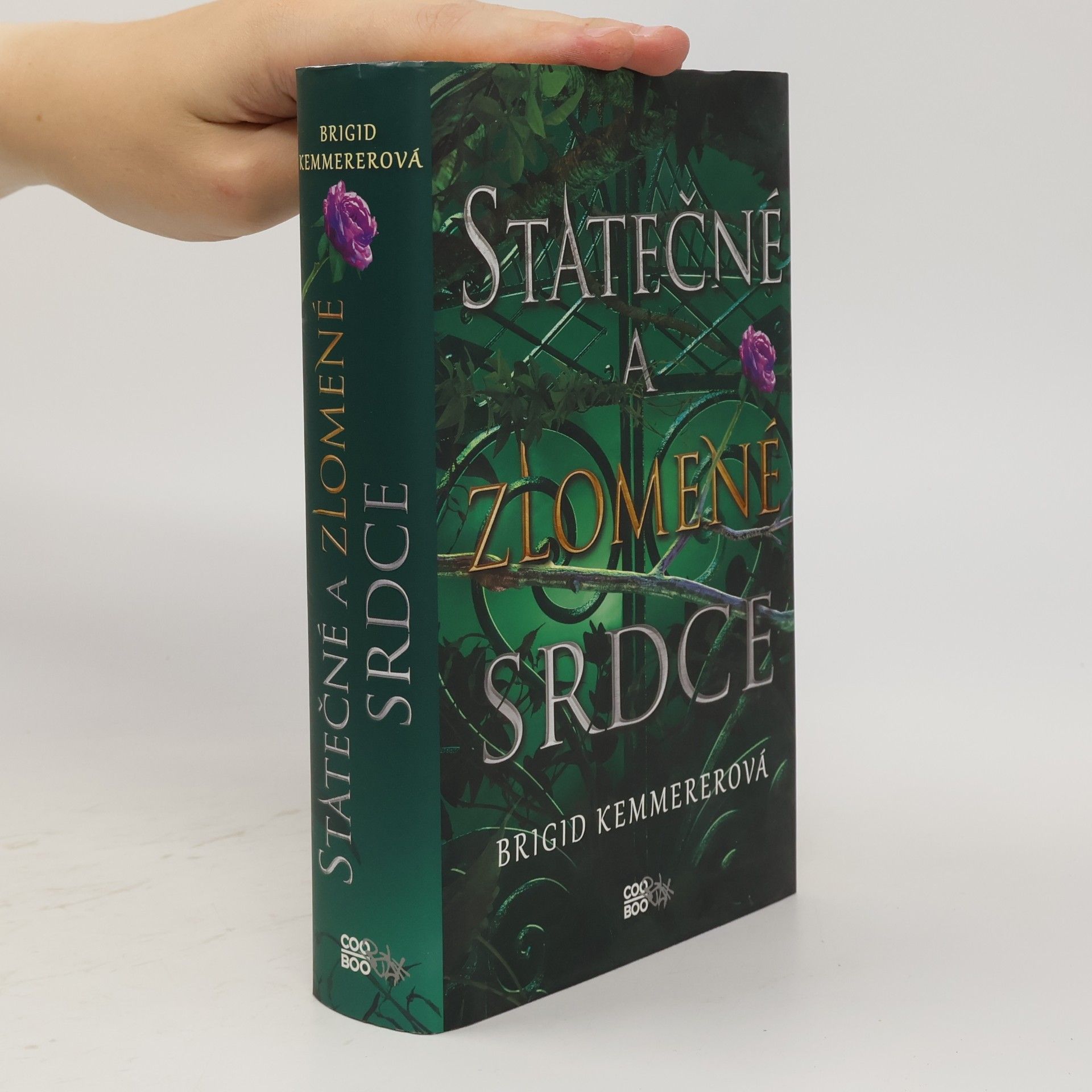 Brigid Kemmerer Statečné a zlomené srdce