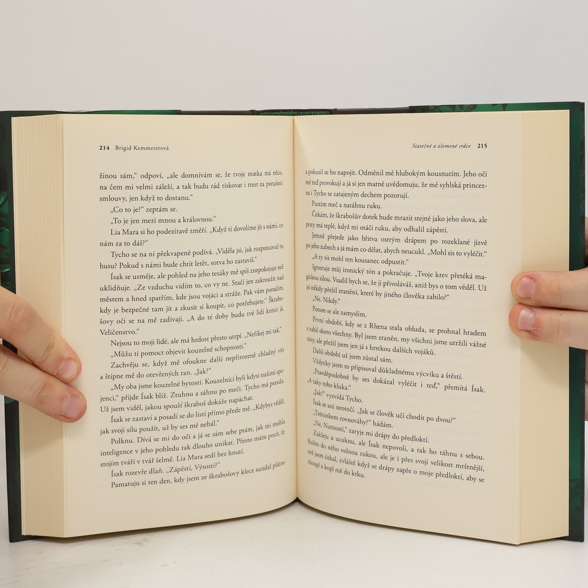 Brigid Kemmerer Statečné a zlomené srdce