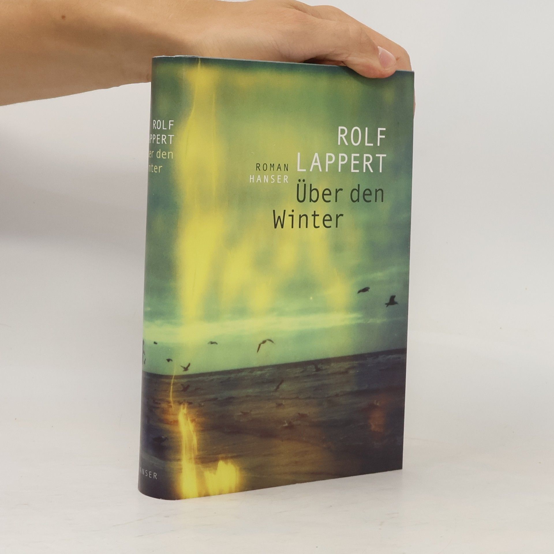Rolf Lappert Über den Winter