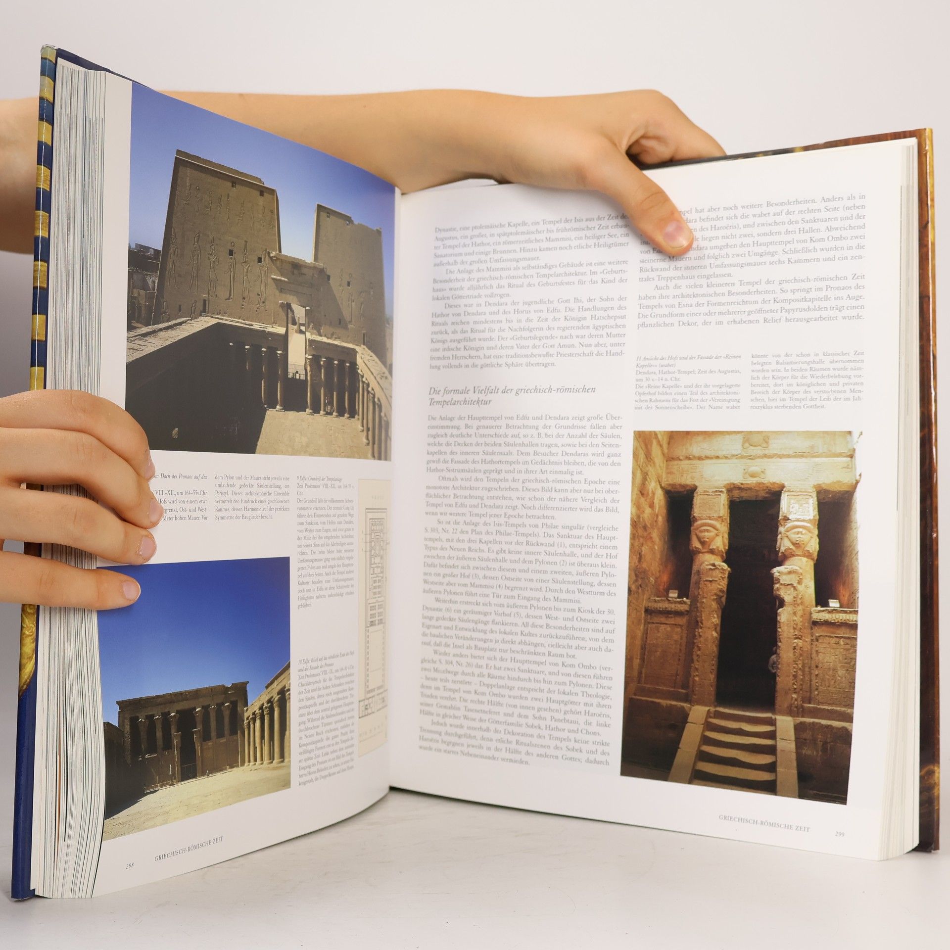 Regine Schultz Ägypten : die Welt der Pharaonen