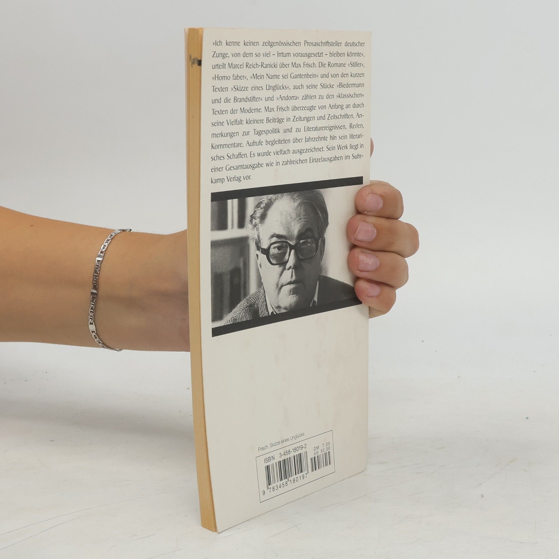 Max Frisch Skizze eines Unglücks