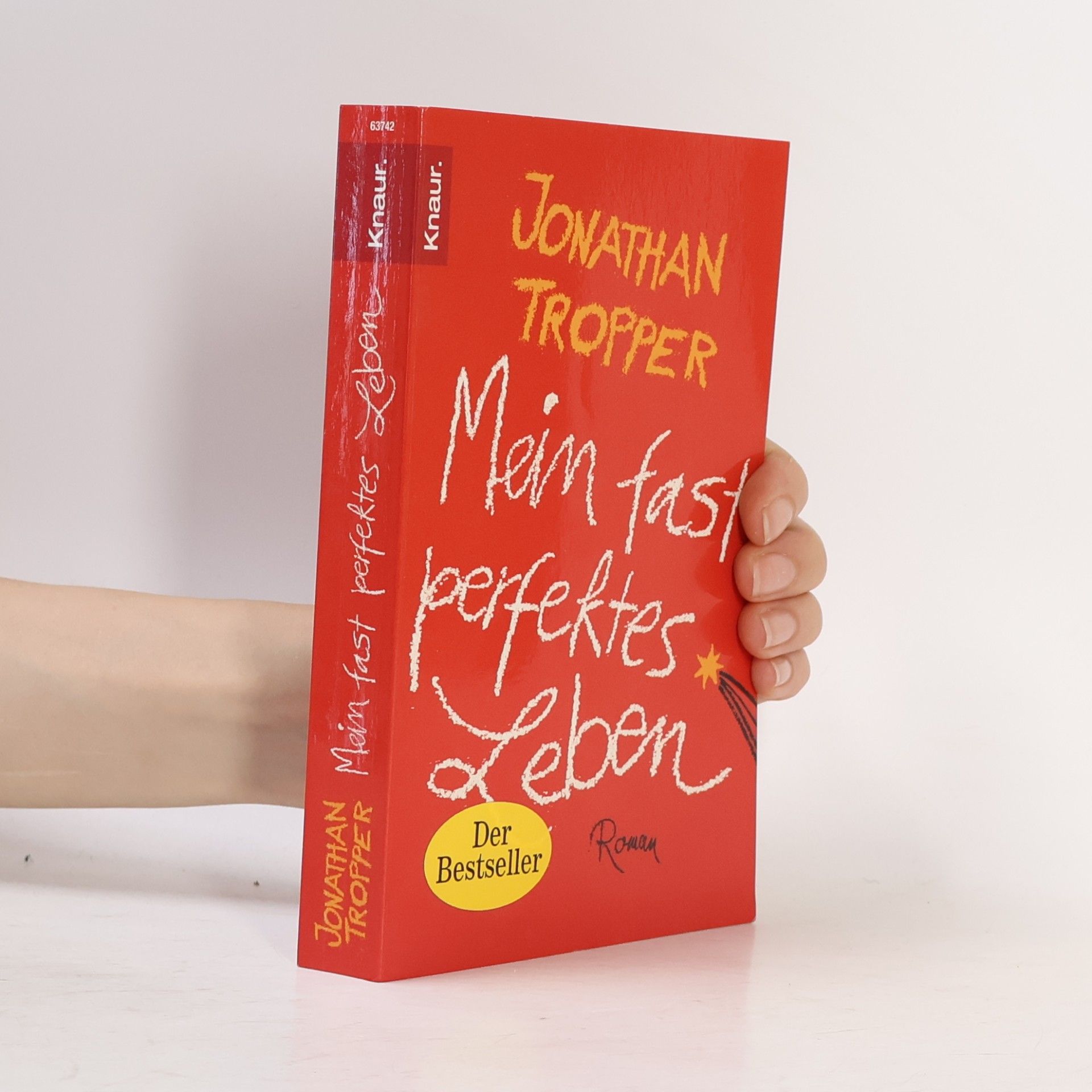Jonathan Tropper Mein fast perfektes Leben
