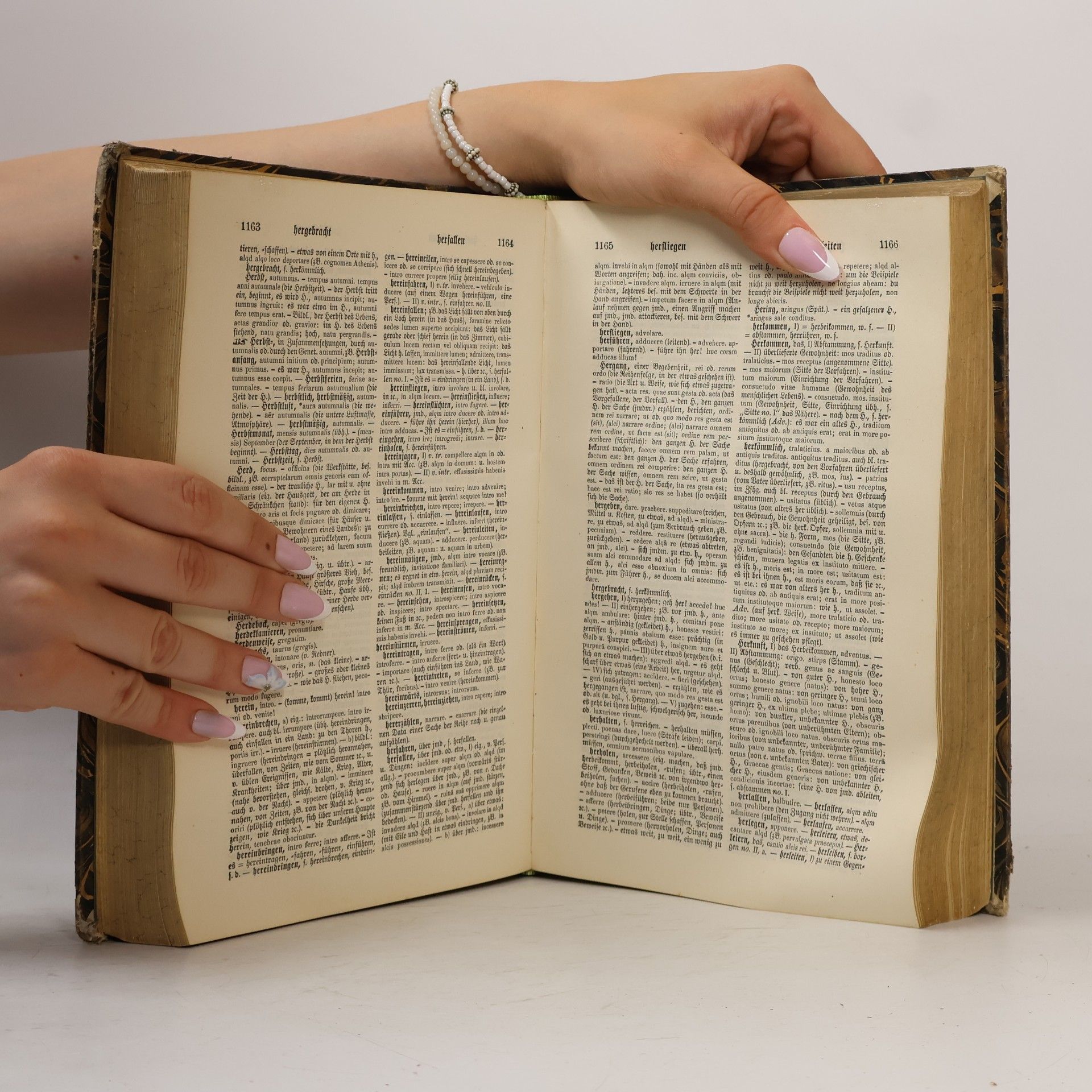 Karl Ernst Georges Kleines Deutsch-Lateinisches Handwörterbuch