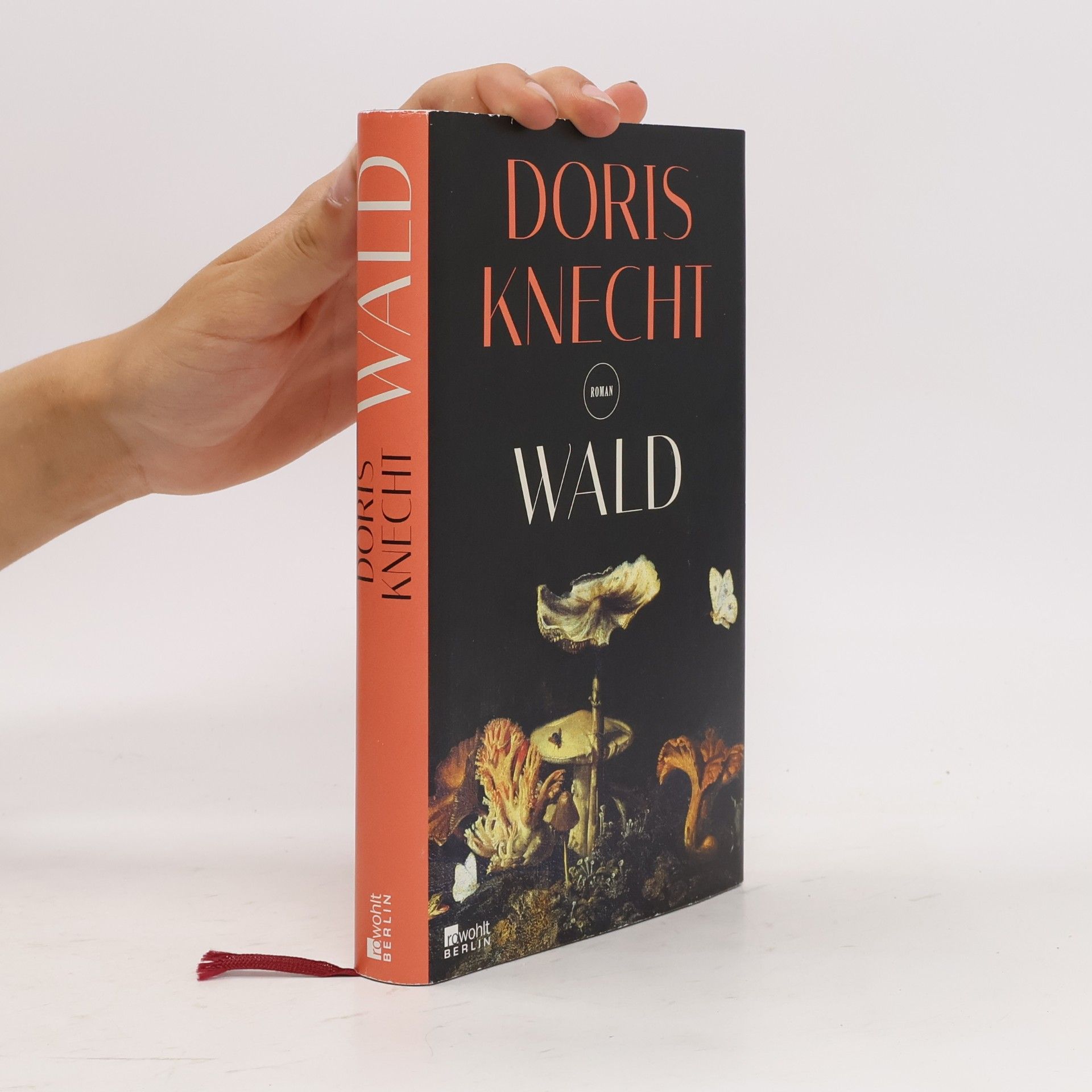 Doris Knecht Wald