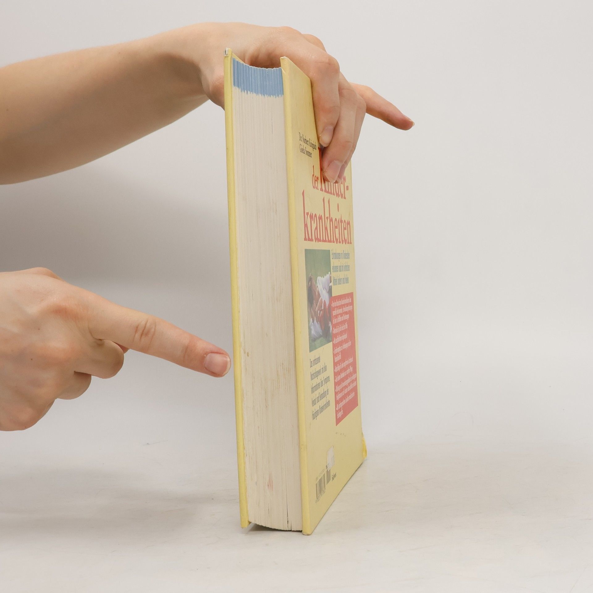 Norbert Kriegisch Das grosse Buch der Kinderkrankheiten