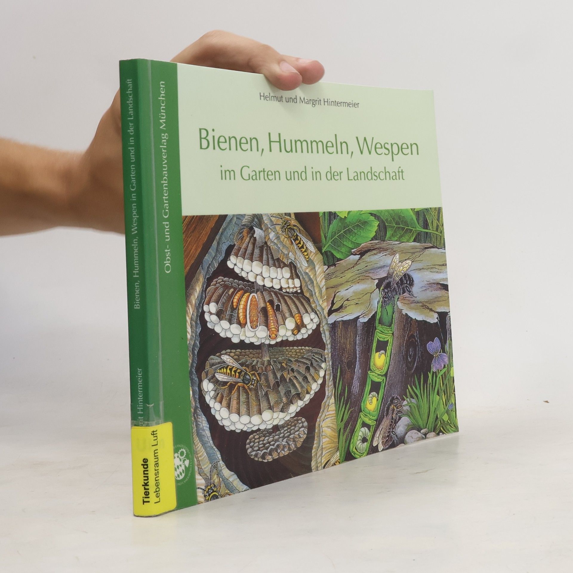 Helmut Hintermeier Bienen, Hummeln, Wespen im Garten und in der Landschaft
