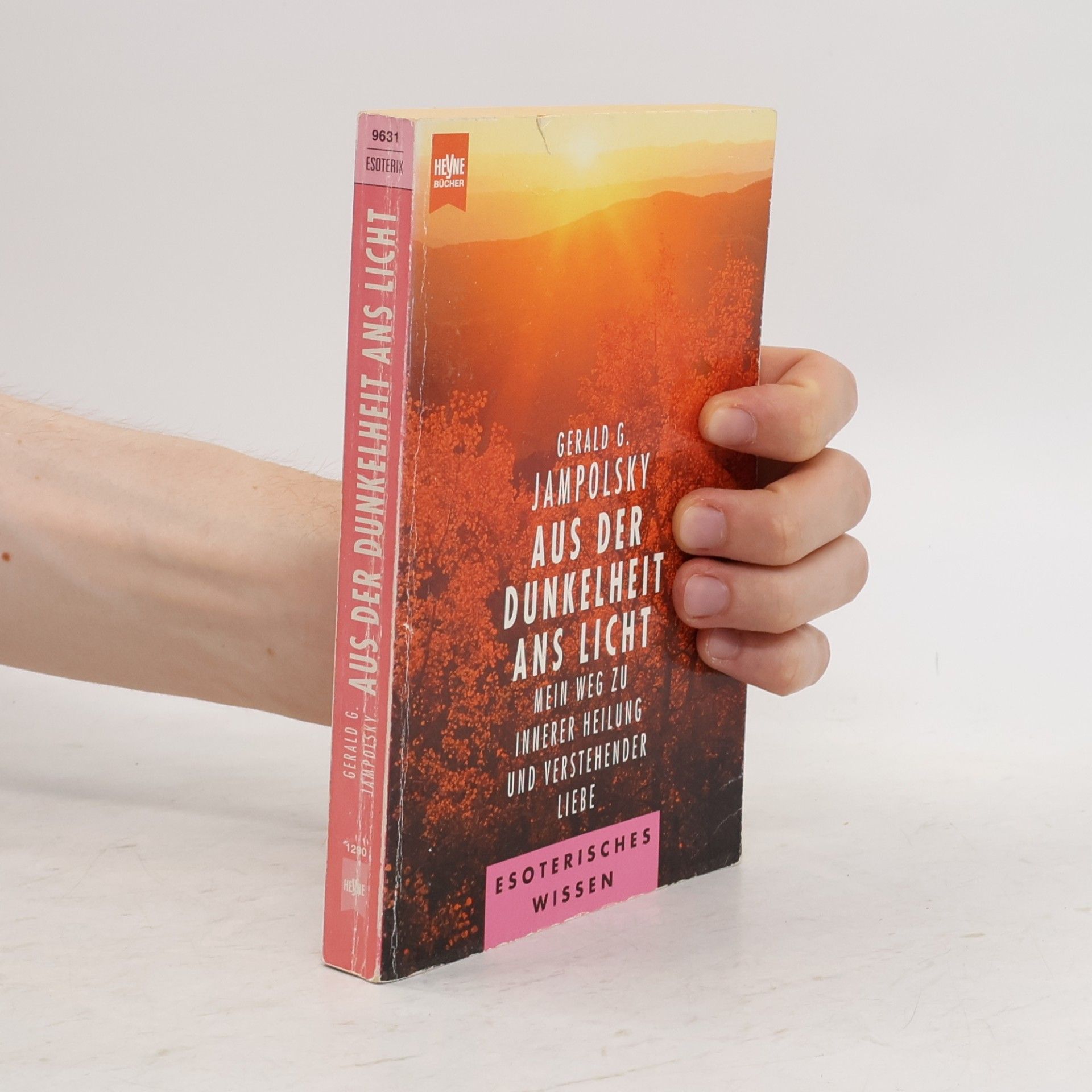 Gerald G. Jampolsky Aus der Dunkelheit ans Licht