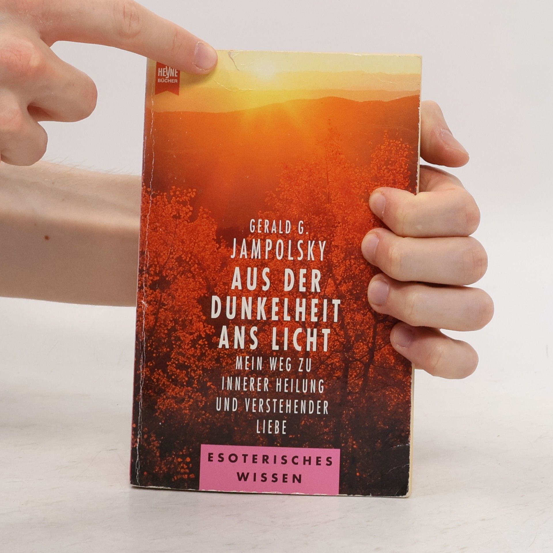 Gerald G. Jampolsky Aus der Dunkelheit ans Licht