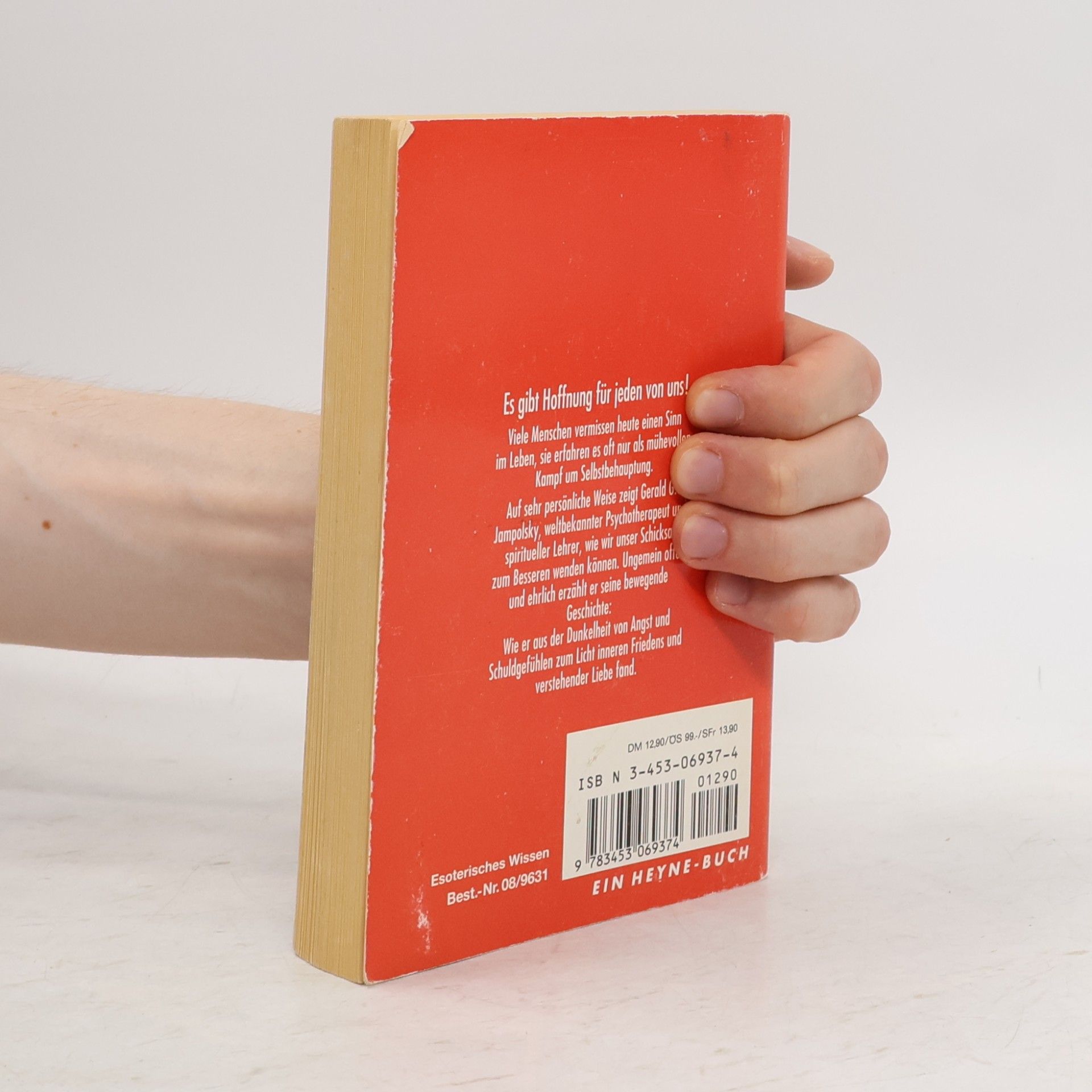 Gerald G. Jampolsky Aus der Dunkelheit ans Licht
