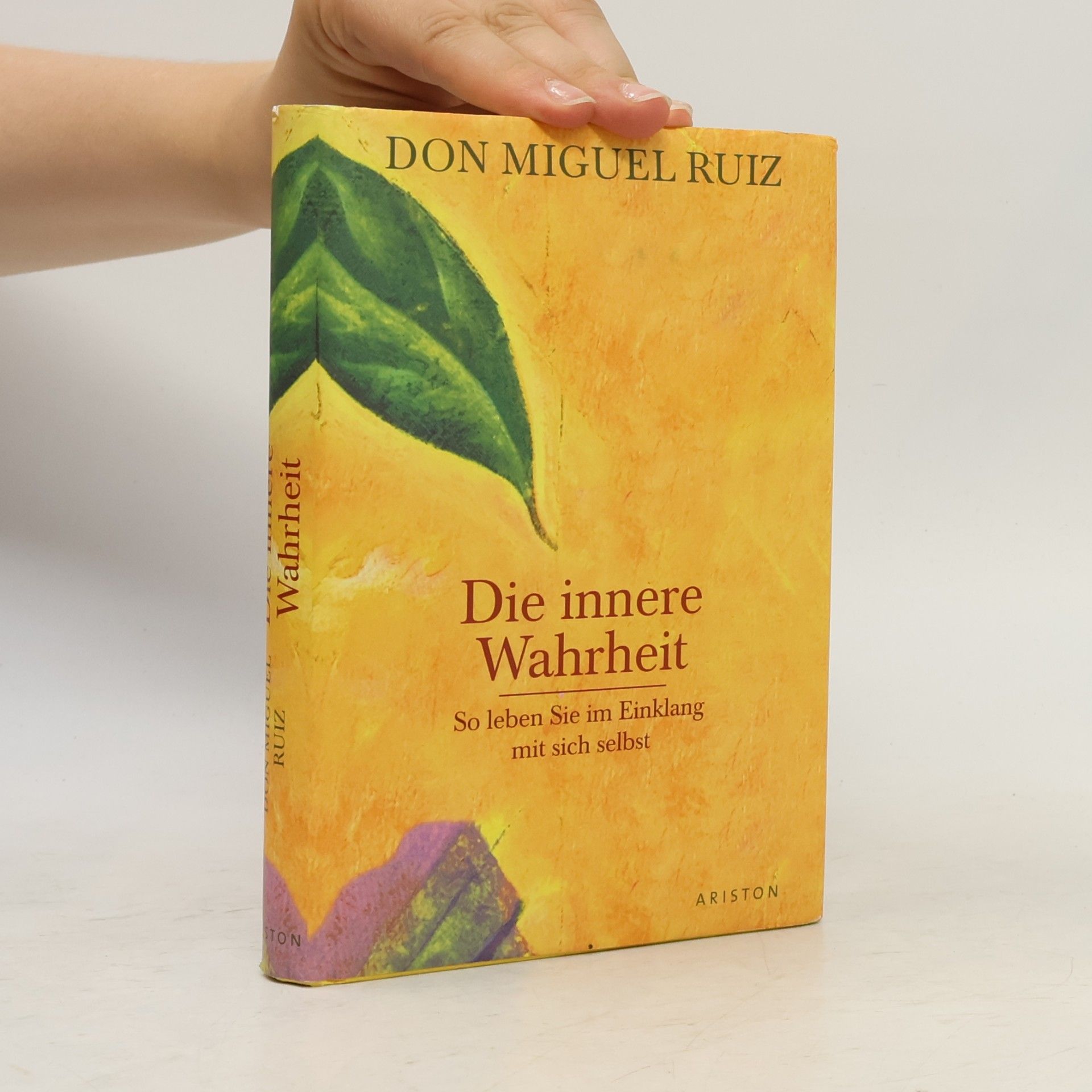 Don Miguel Ruiz Die innere Wahrheit