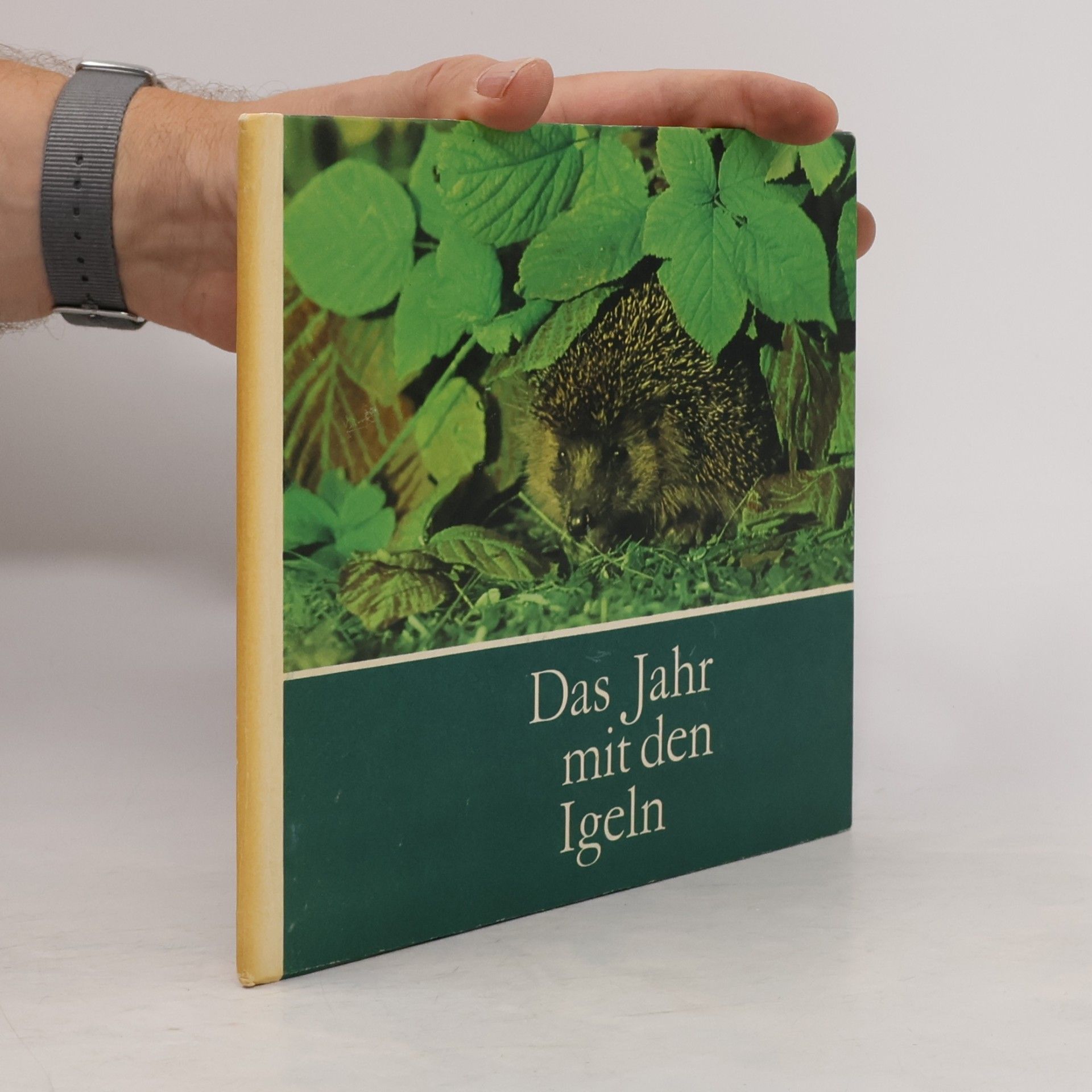 Autorenkollektiv Das Jahr mit den Igeln