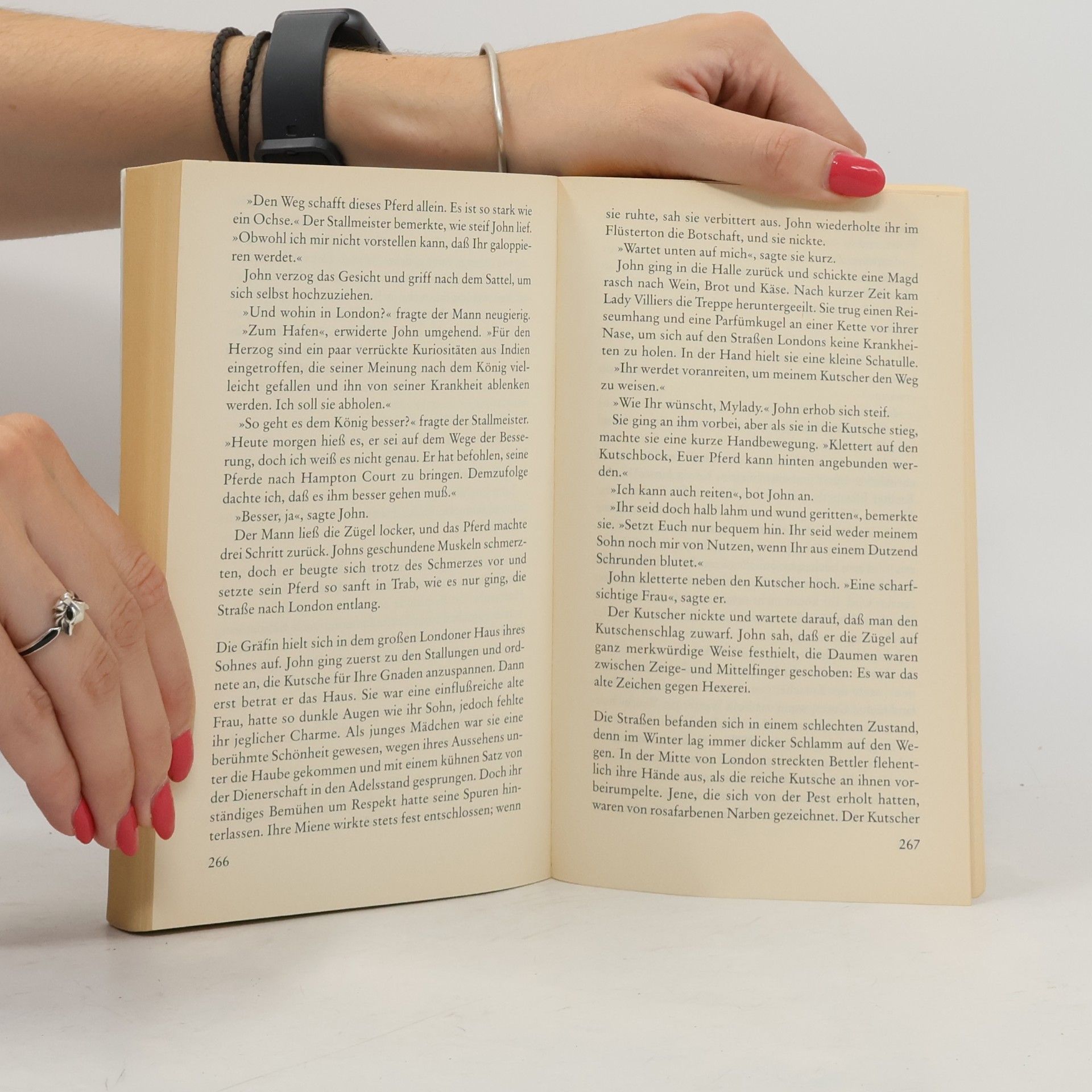 Philippa Gregory Irdische Freuden