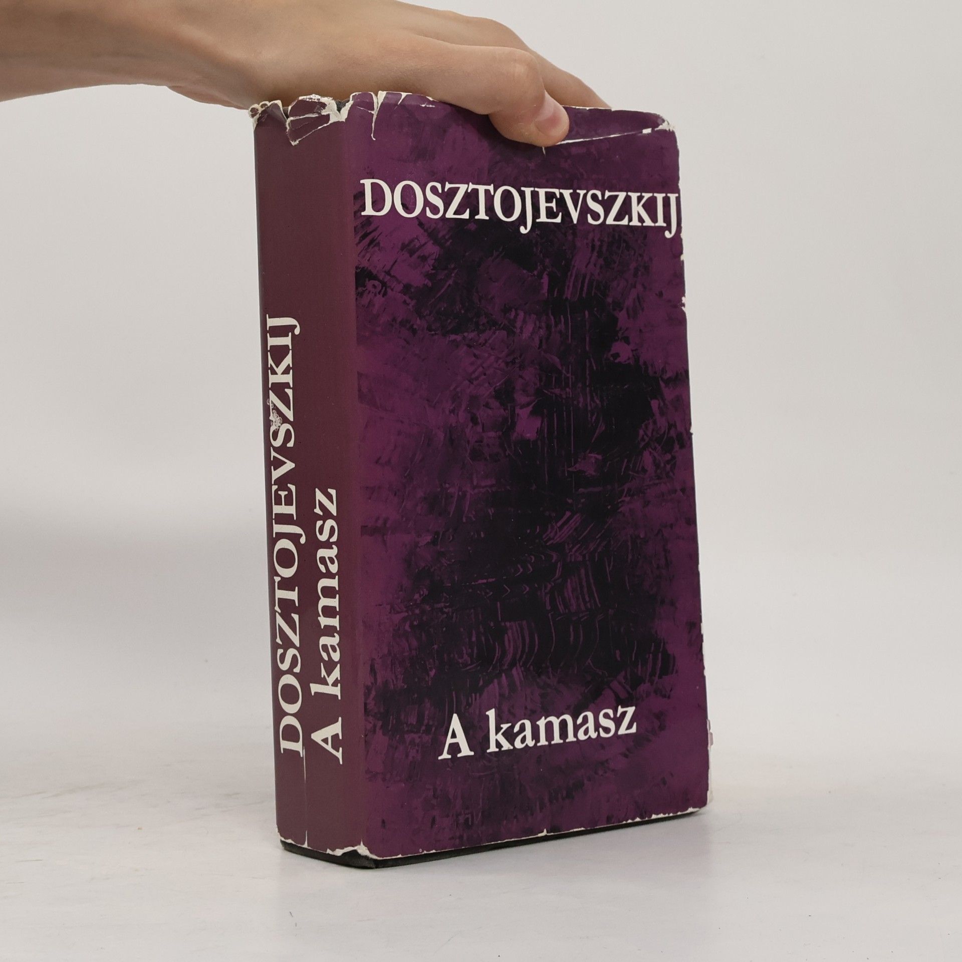 Fjodor Michajlovič Dostojevskij A kamasz