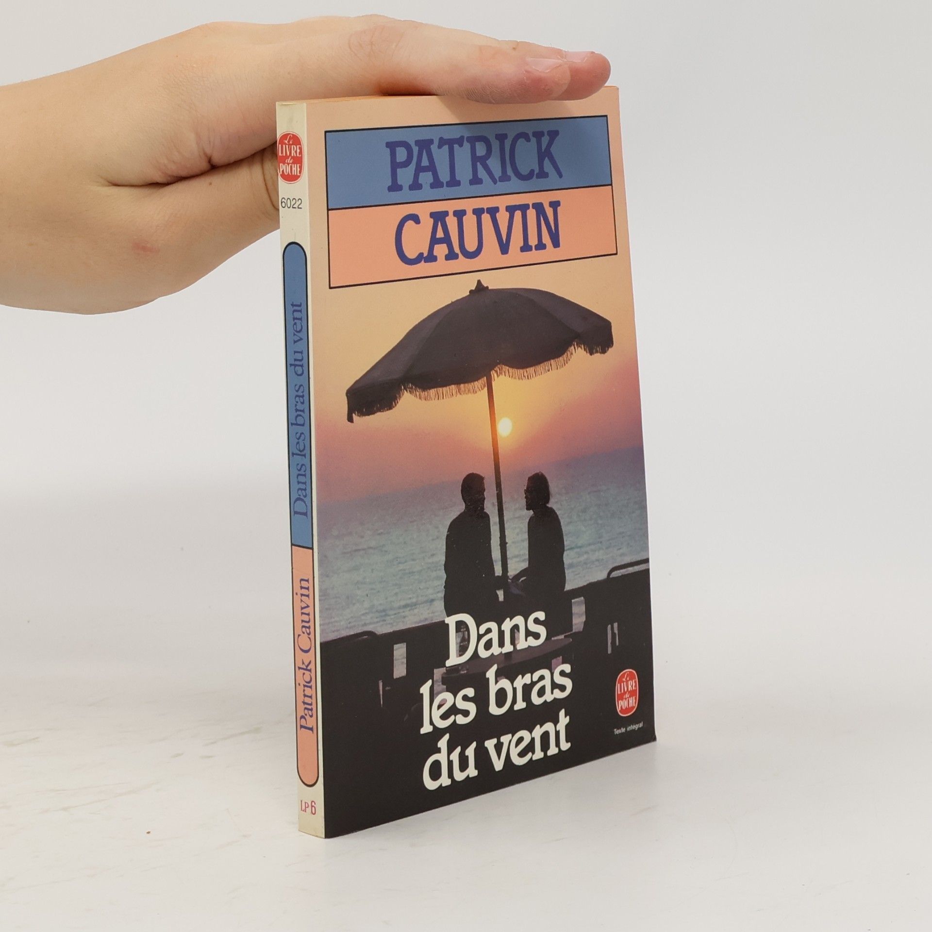 Patrick Cauvin Dans les bras du vent