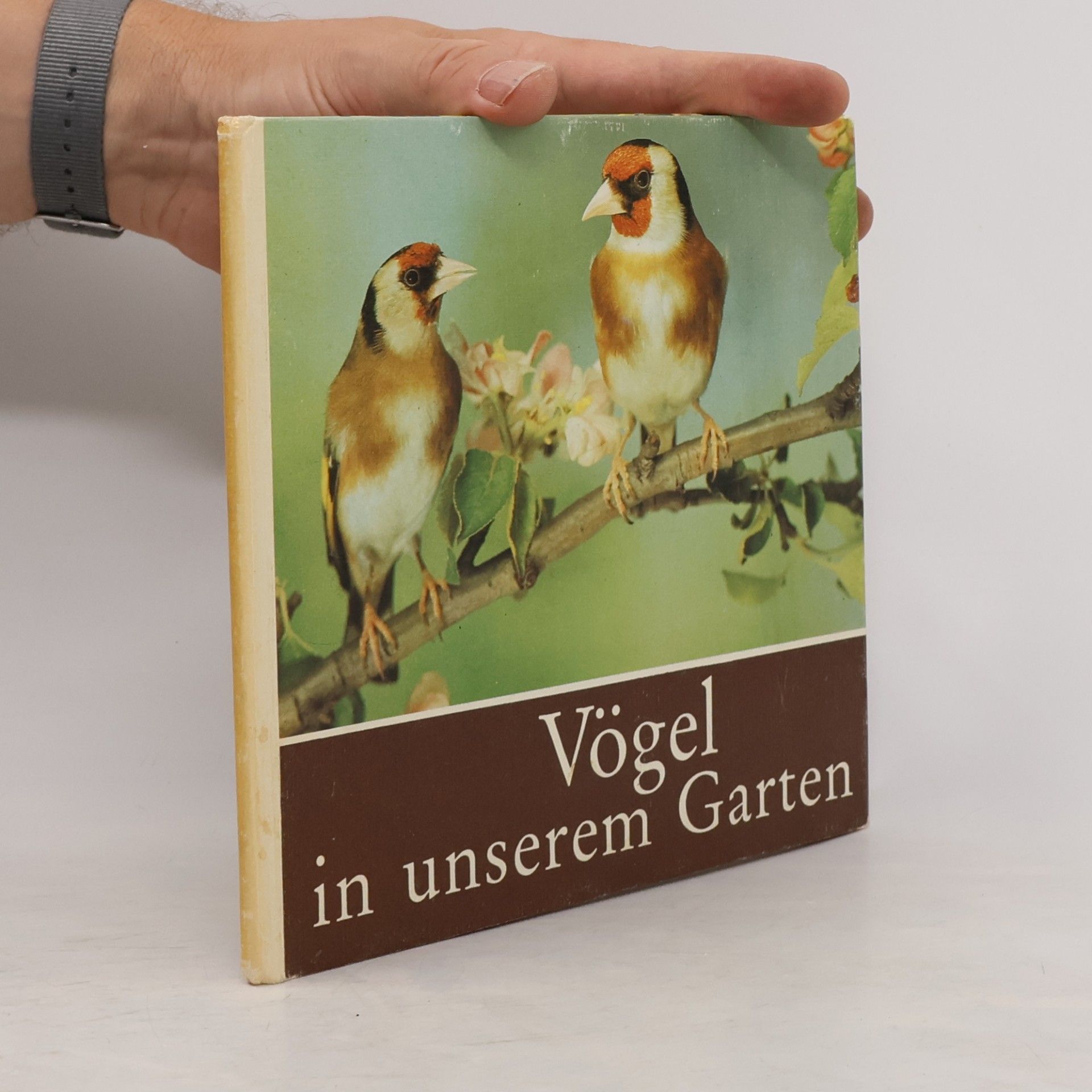Various authors Vögel in unserem Garten