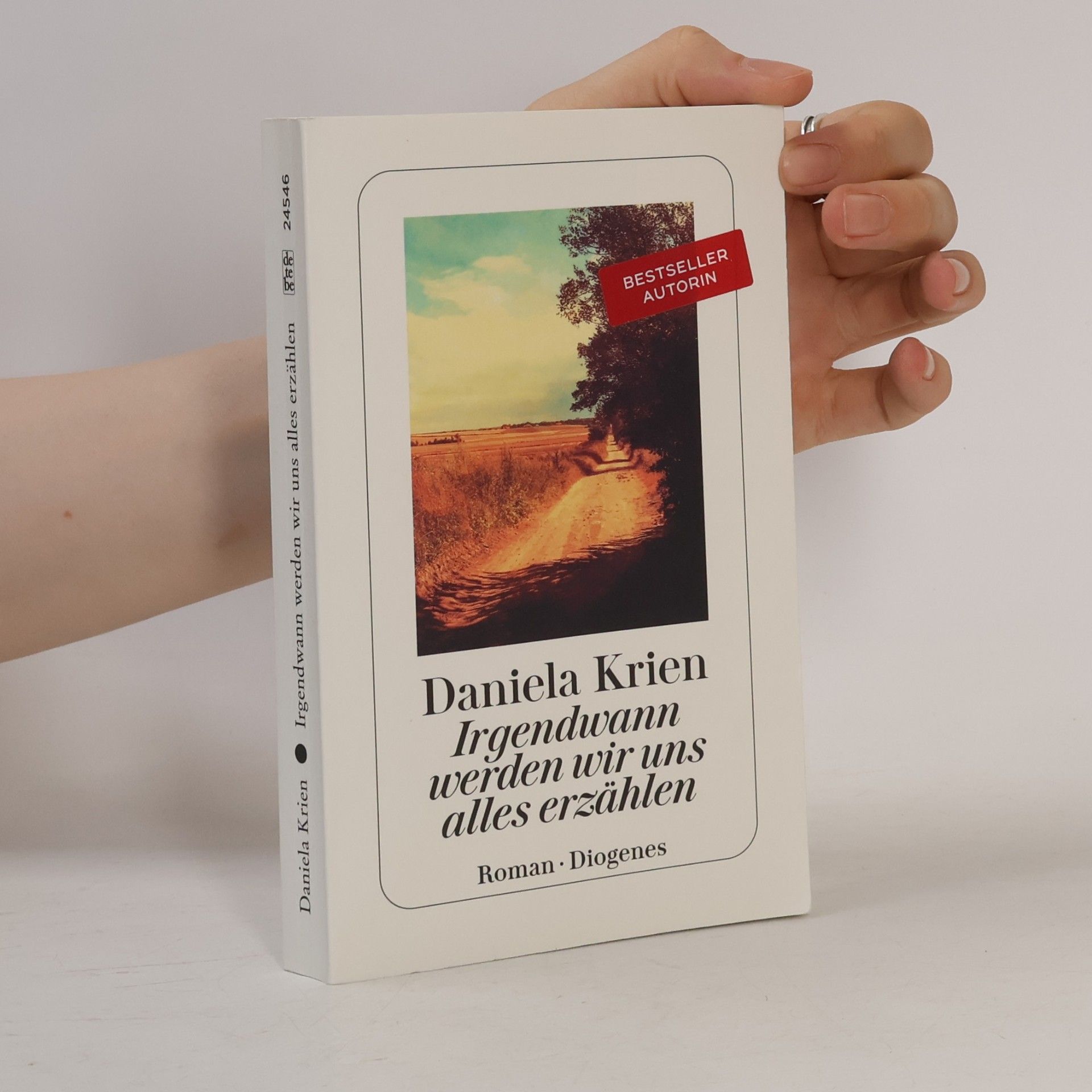 Daniela Krien Irgendwann werden wir uns alles erzählen